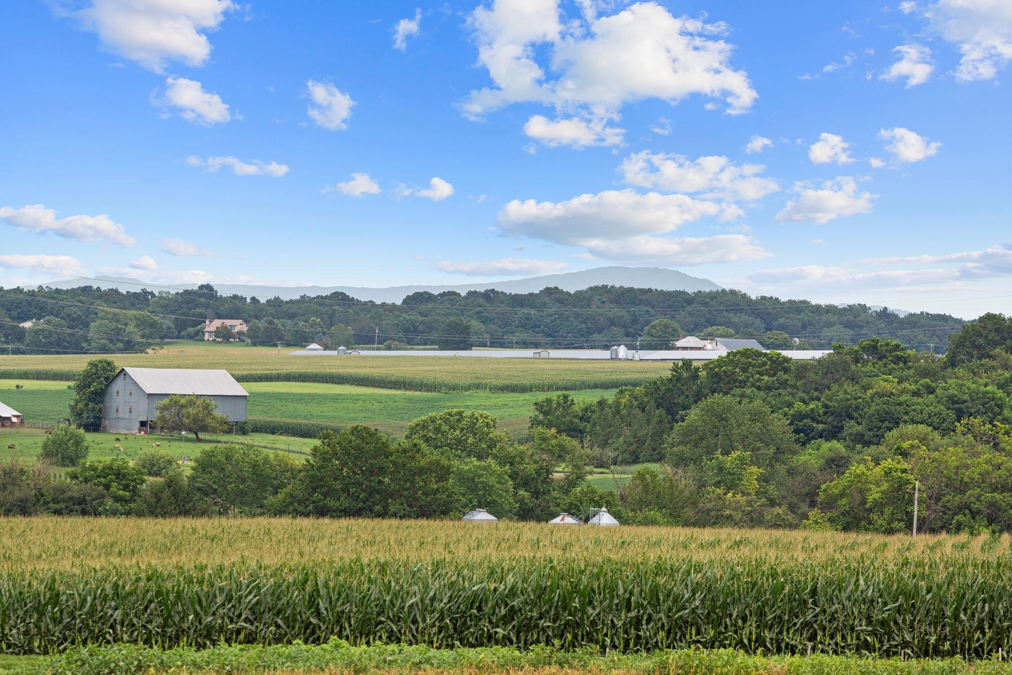 206 SCARLET MAPLE LN, BRIDGEWATER, Virginia 22812, 3 Bedrooms Bedrooms, ,2 BathroomsBathrooms,Residential,The Glen at Cooks Creek,206 SCARLET MAPLE LN,673801 MLS # 673801