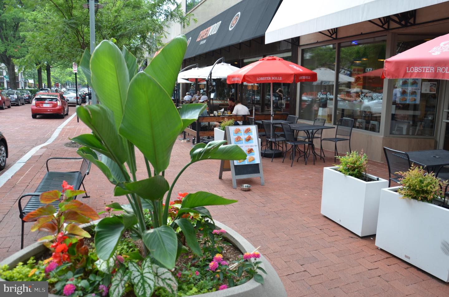 2713 24TH RD S #A & B, ARLINGTON, Virginia 22206, 4 Bedrooms Bedrooms, ,2 BathroomsBathrooms,Residential,For sale,2713 24TH RD S #A & B,VAAR2069310 MLS # VAAR2069310