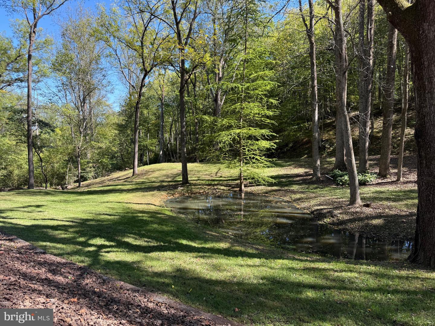 18 BOLTON BRANCH LN, HUNTLY, Virginia 22640, 2 Bedrooms Bedrooms, ,2 BathroomsBathrooms,Residential,For sale,18 BOLTON BRANCH LN,VARP2002498 MLS # VARP2002498 18 BOLTON BRANCH LN, HUNTLY, Virginia 22640, 2 Bedrooms Bedrooms, ,2 BathroomsBathrooms,Residential,For sale,18 BOLTON BRANCH LN,VARP2002498 MLS # VARP2002498