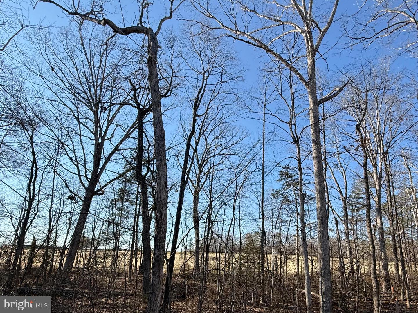 206 SAYLERS CREEK RD, LOCUST GROVE, Virginia 22508, 3 Bedrooms Bedrooms, 6 Rooms Rooms,2 BathroomsBathrooms,Residential,For sale,206 SAYLERS CREEK RD,VAOR2013438 MLS # VAOR2013438