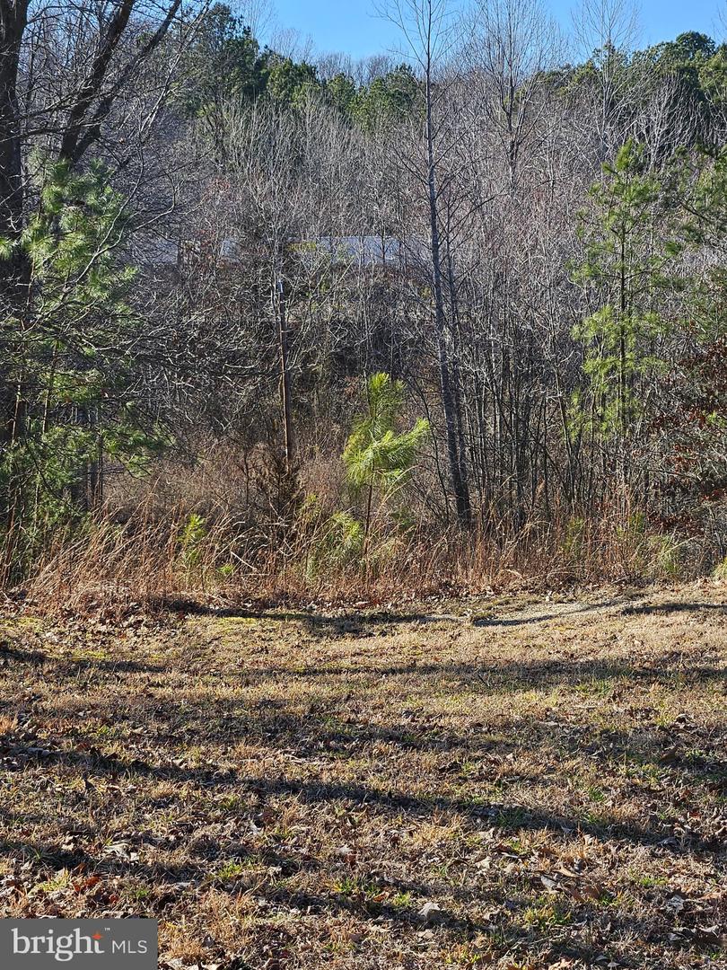 11489 RAILROAD LN, RUTHER GLEN, Virginia 22546, 3 Bedrooms Bedrooms, ,1 BathroomBathrooms,Residential,For sale,11489 RAILROAD LN,VACV2009604 MLS # VACV2009604 11489 RAILROAD LN, RUTHER GLEN, Virginia 22546, 3 Bedrooms Bedrooms, ,1 BathroomBathrooms,Residential,For sale,11489 RAILROAD LN,VACV2009604 MLS # VACV2009604