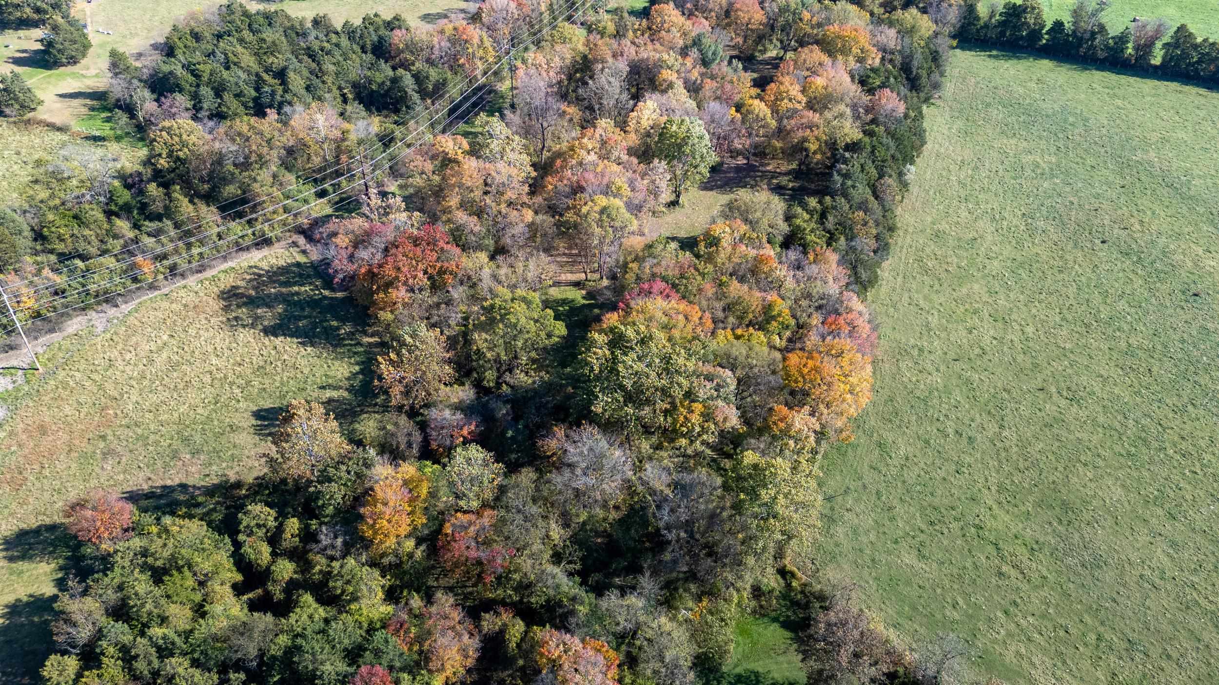 0 DRY RUN RD, LURAY, Virginia 22835, ,Land,0 DRY RUN RD,673854 MLS # 673854