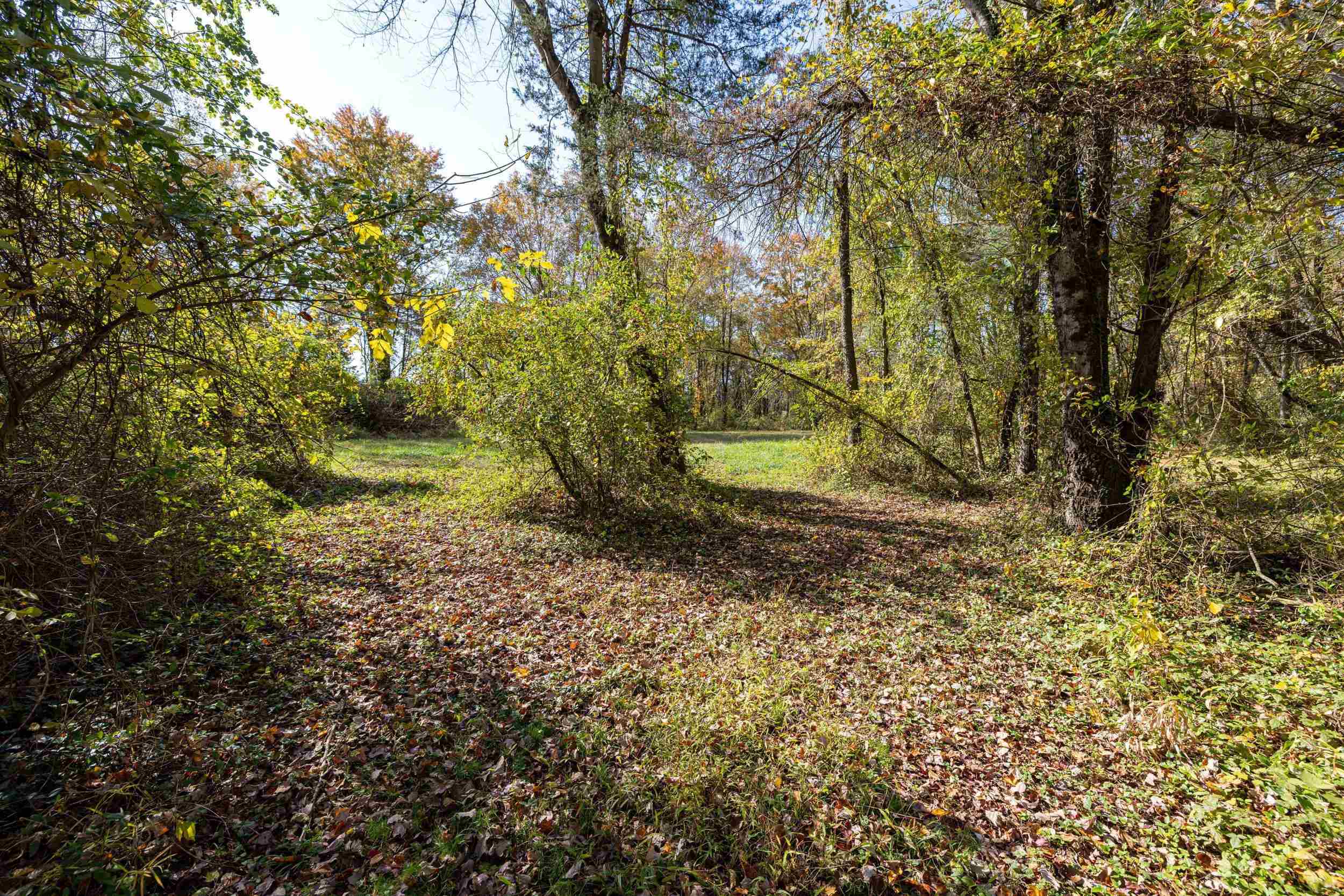 0 DRY RUN RD, LURAY, Virginia 22835, ,Land,0 DRY RUN RD,673854 MLS # 673854