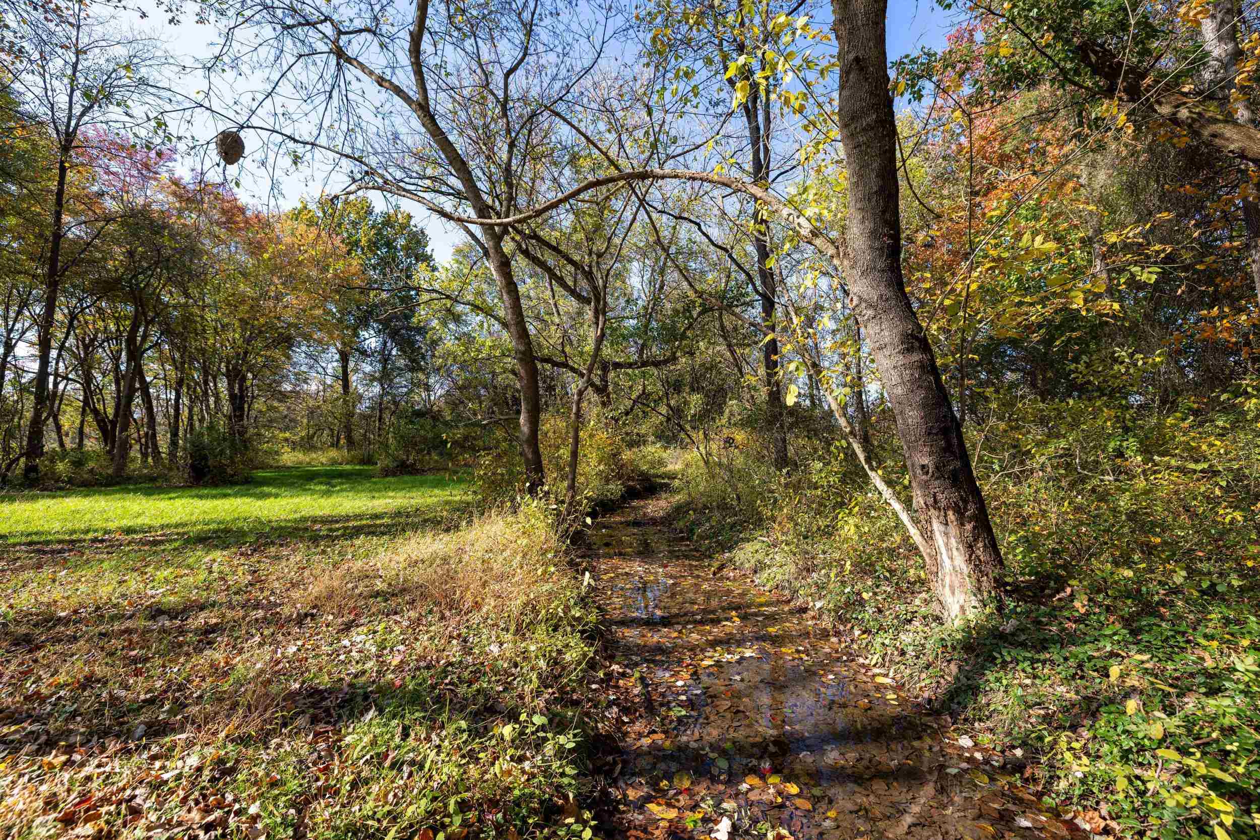 0 DRY RUN RD, LURAY, Virginia 22835, ,Land,0 DRY RUN RD,673854 MLS # 673854