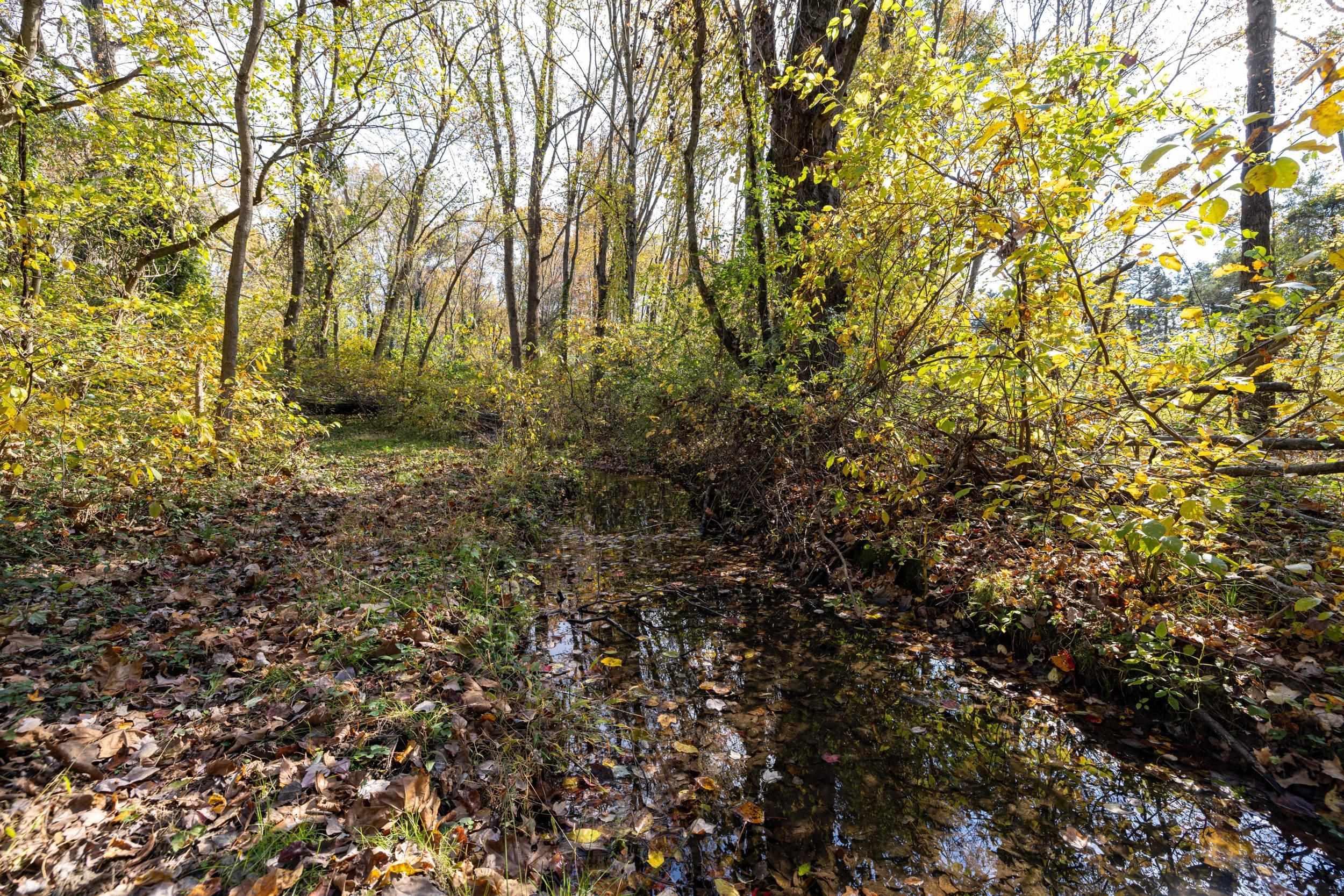 0 DRY RUN RD, LURAY, Virginia 22835, ,Land,0 DRY RUN RD,673854 MLS # 673854