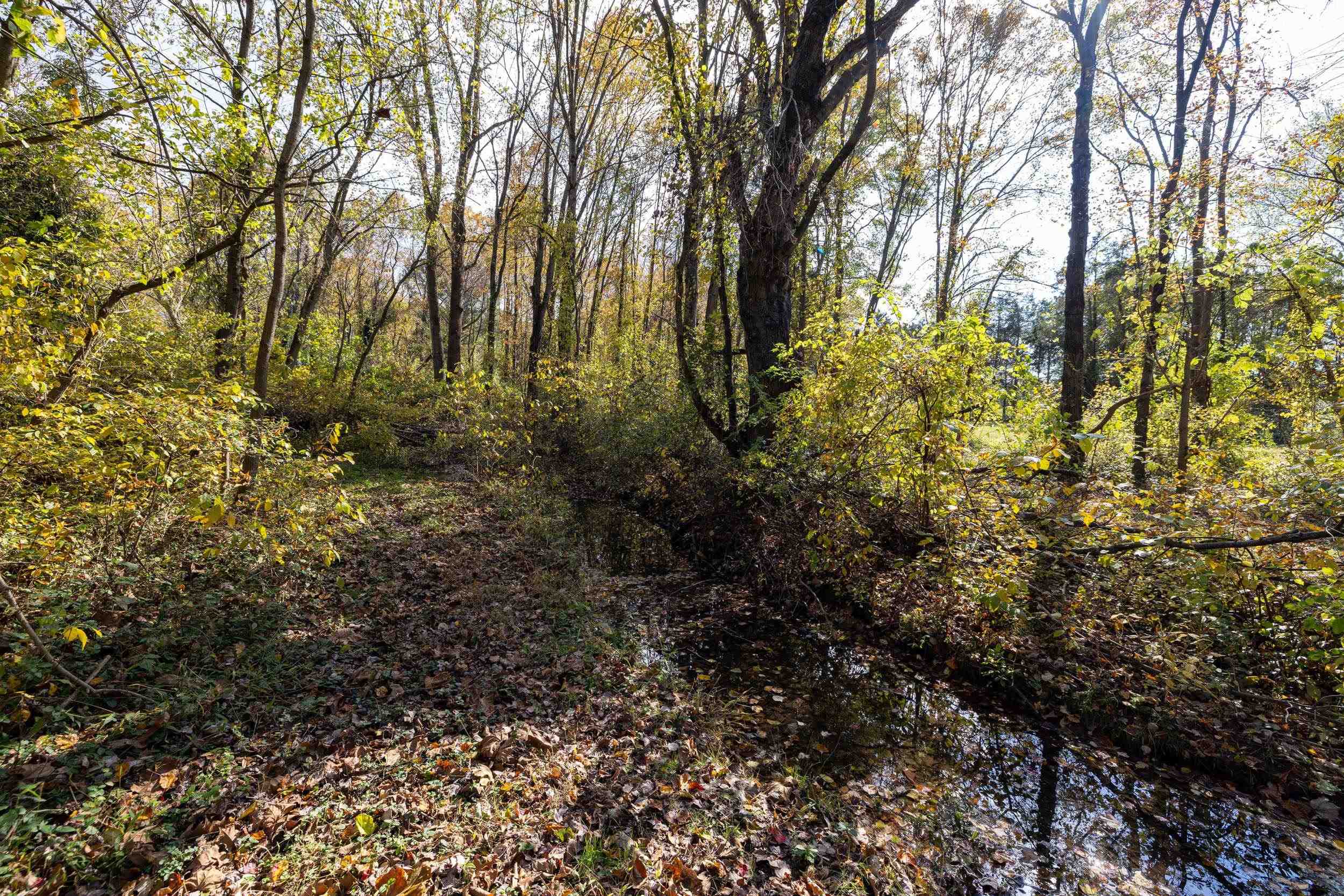 0 DRY RUN RD, LURAY, Virginia 22835, ,Land,0 DRY RUN RD,673854 MLS # 673854