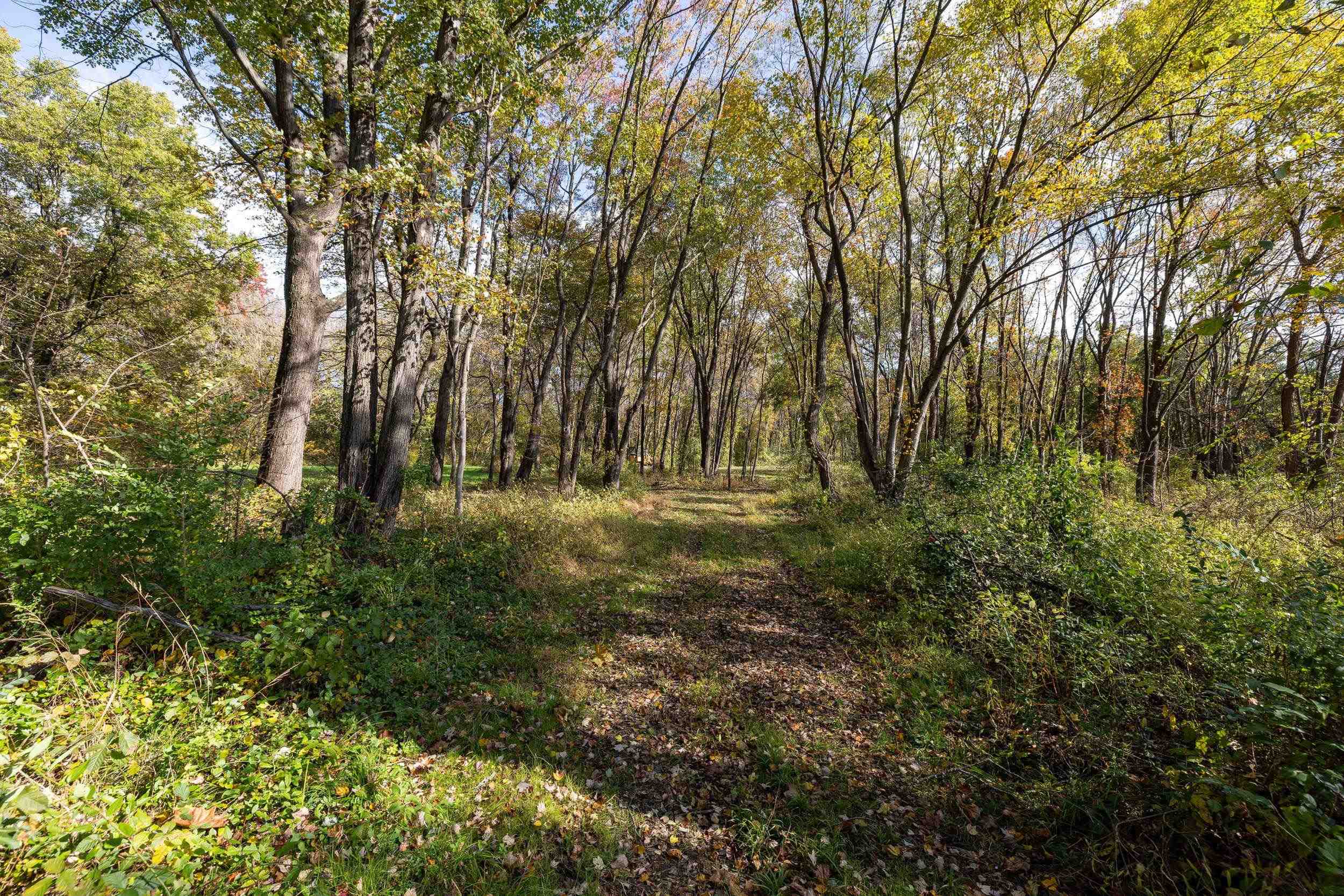 0 DRY RUN RD, LURAY, Virginia 22835, ,Land,0 DRY RUN RD,673854 MLS # 673854