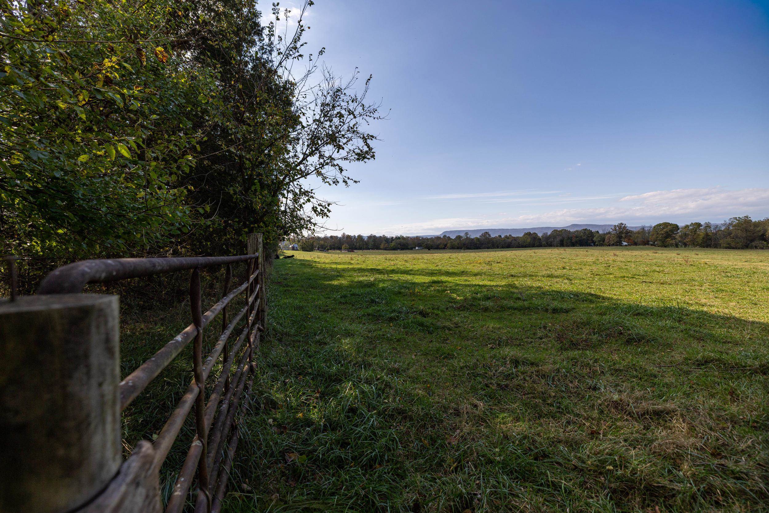 0 DRY RUN RD, LURAY, Virginia 22835, ,Land,0 DRY RUN RD,673854 MLS # 673854