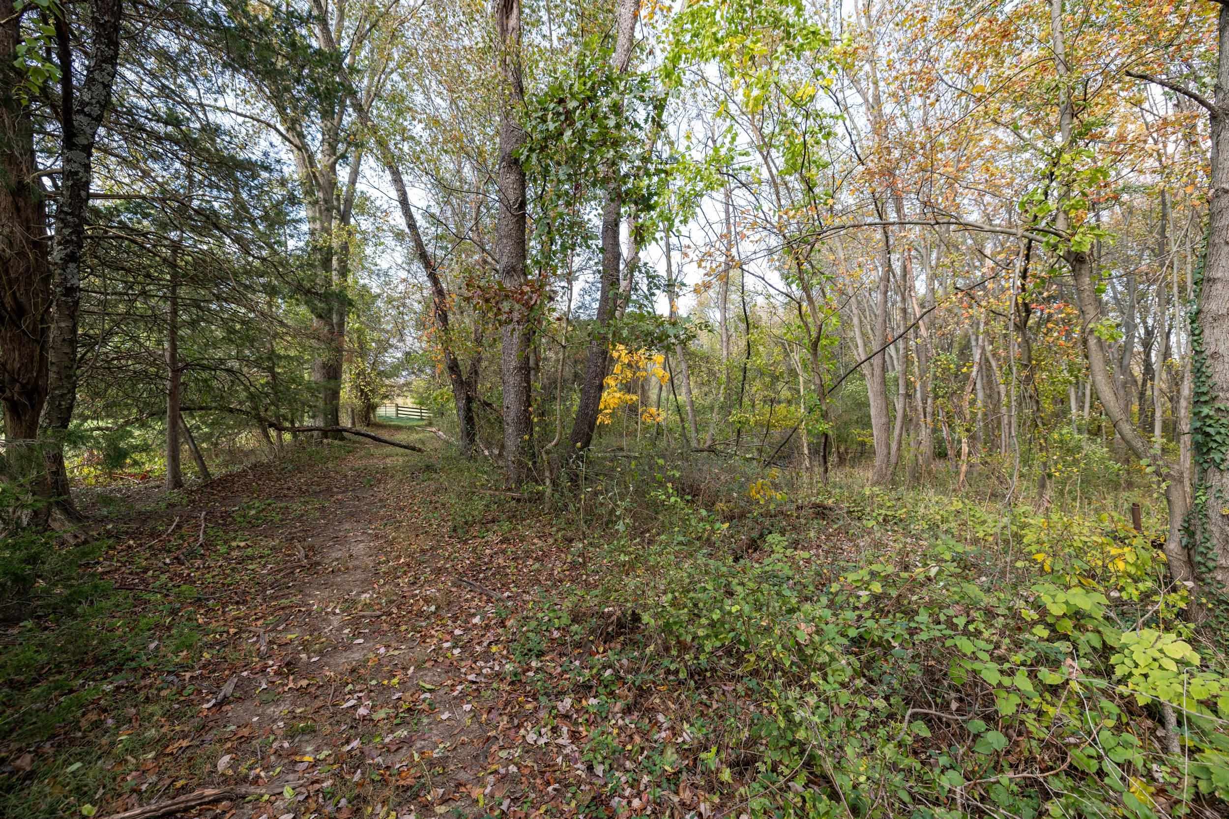 0 DRY RUN RD, LURAY, Virginia 22835, ,Land,0 DRY RUN RD,673854 MLS # 673854