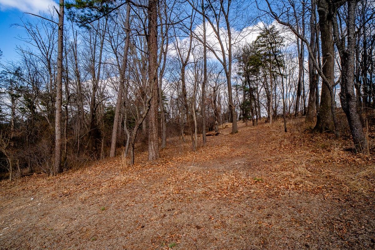 TBD KISER RD, MOUNT CRAWFORD, Virginia 22841, ,Land,TBD KISER RD,673862 MLS # 673862