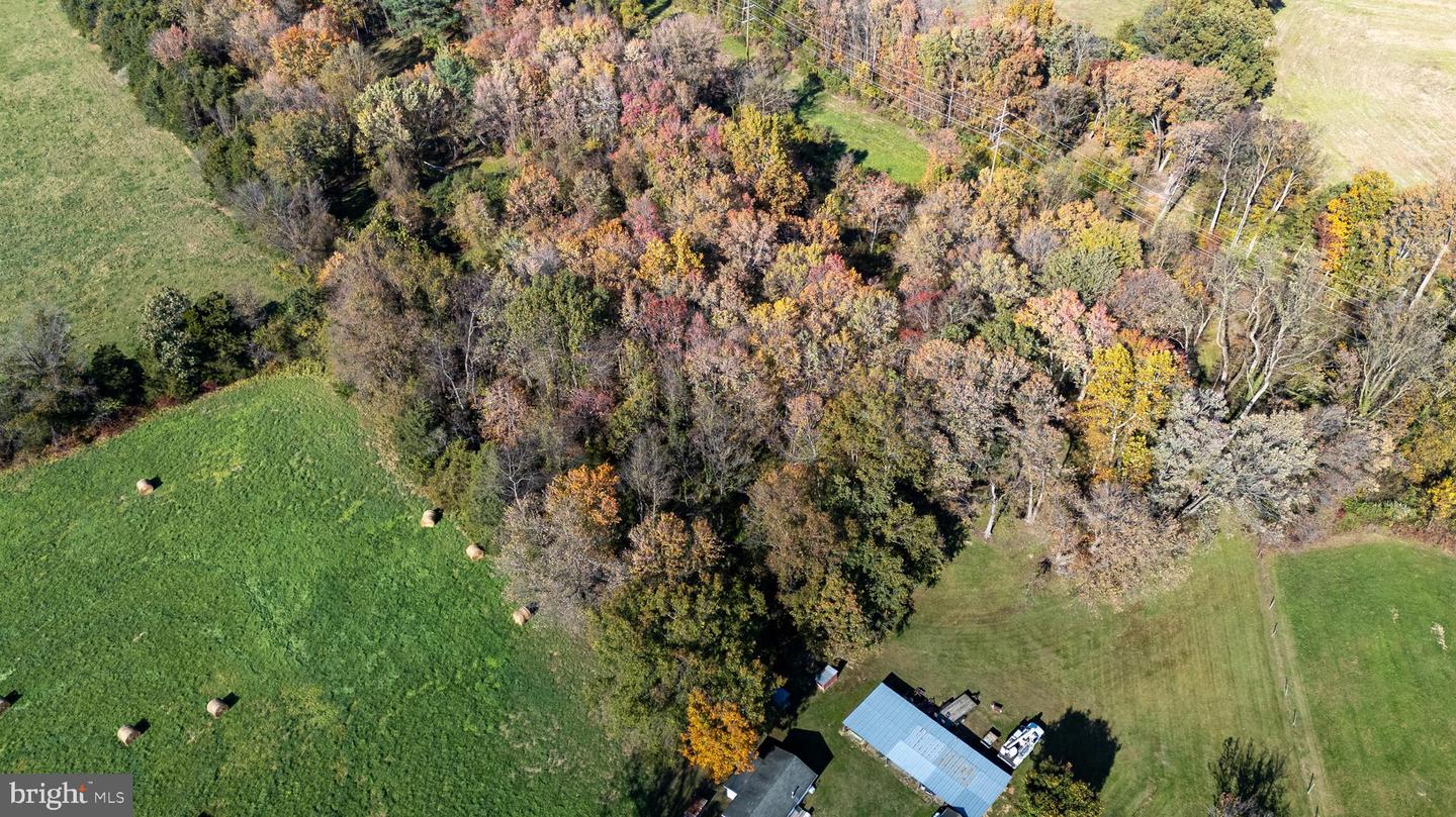 0 DRY RUN RD, LURAY, Virginia 22835, ,Land,For sale,0 DRY RUN RD,VAPA2005530 MLS # VAPA2005530