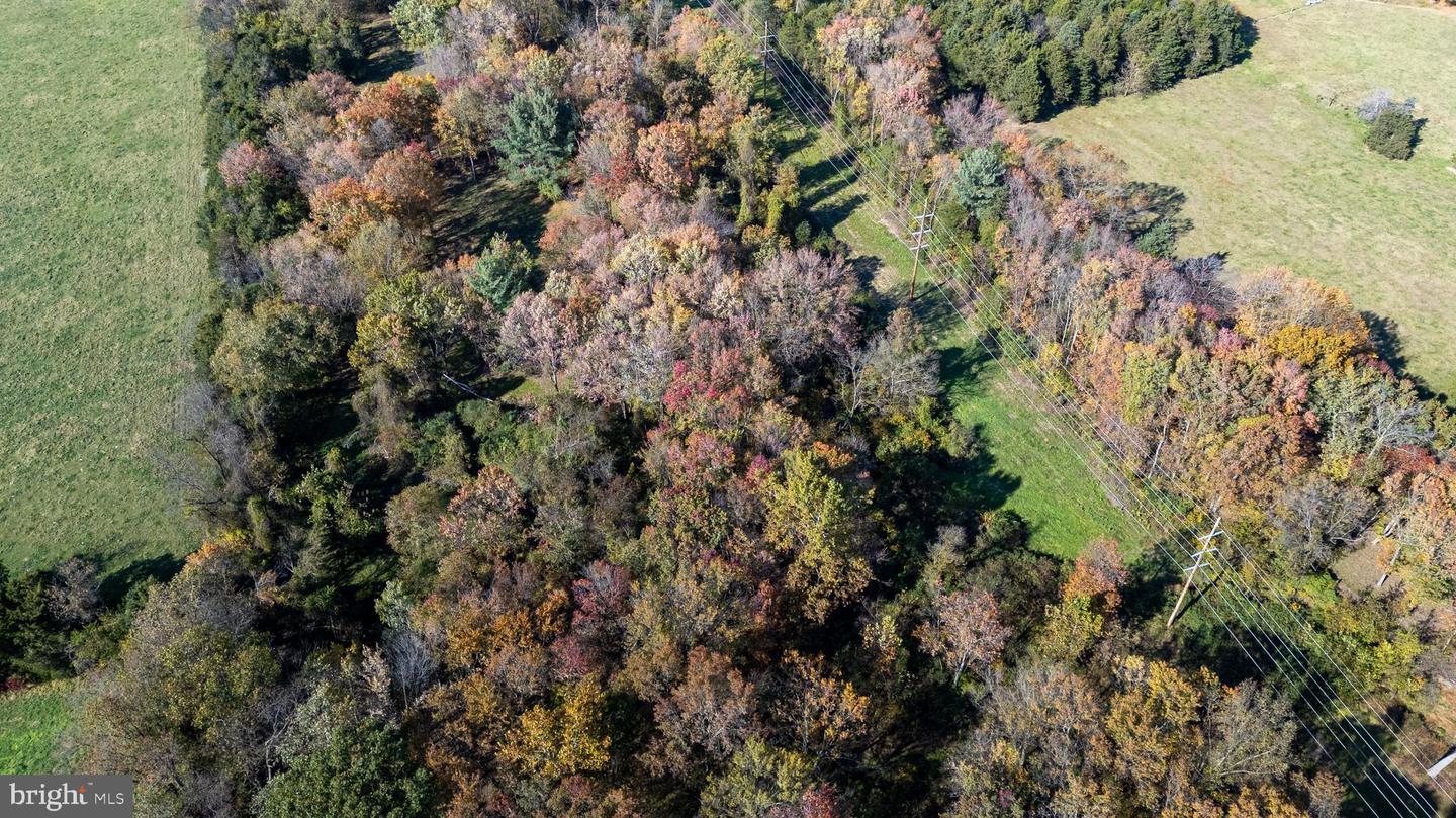 0 DRY RUN RD, LURAY, Virginia 22835, ,Land,For sale,0 DRY RUN RD,VAPA2005530 MLS # VAPA2005530