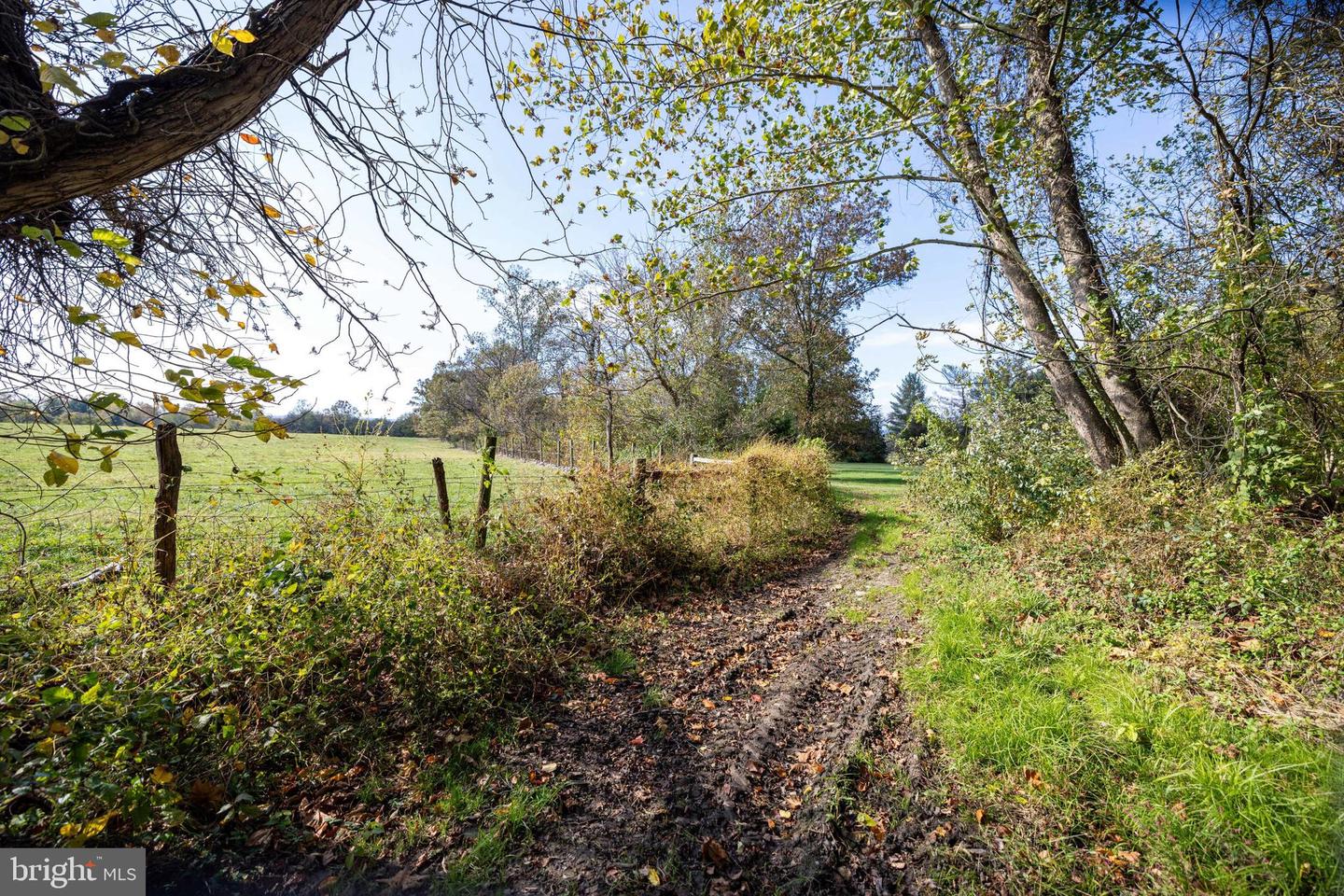 0 DRY RUN RD, LURAY, Virginia 22835, ,Land,For sale,0 DRY RUN RD,VAPA2005530 MLS # VAPA2005530