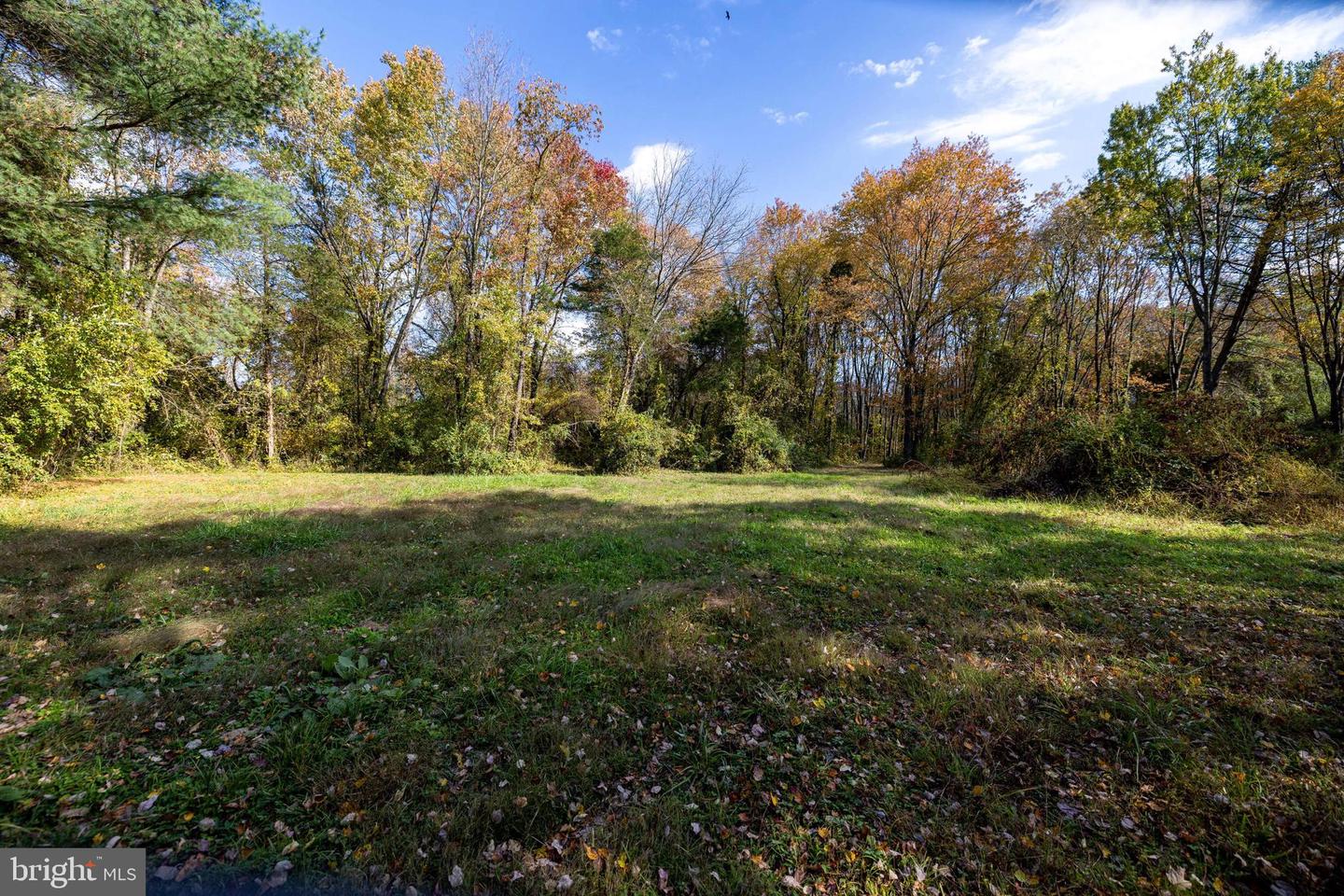 0 DRY RUN RD, LURAY, Virginia 22835, ,Land,For sale,0 DRY RUN RD,VAPA2005530 MLS # VAPA2005530