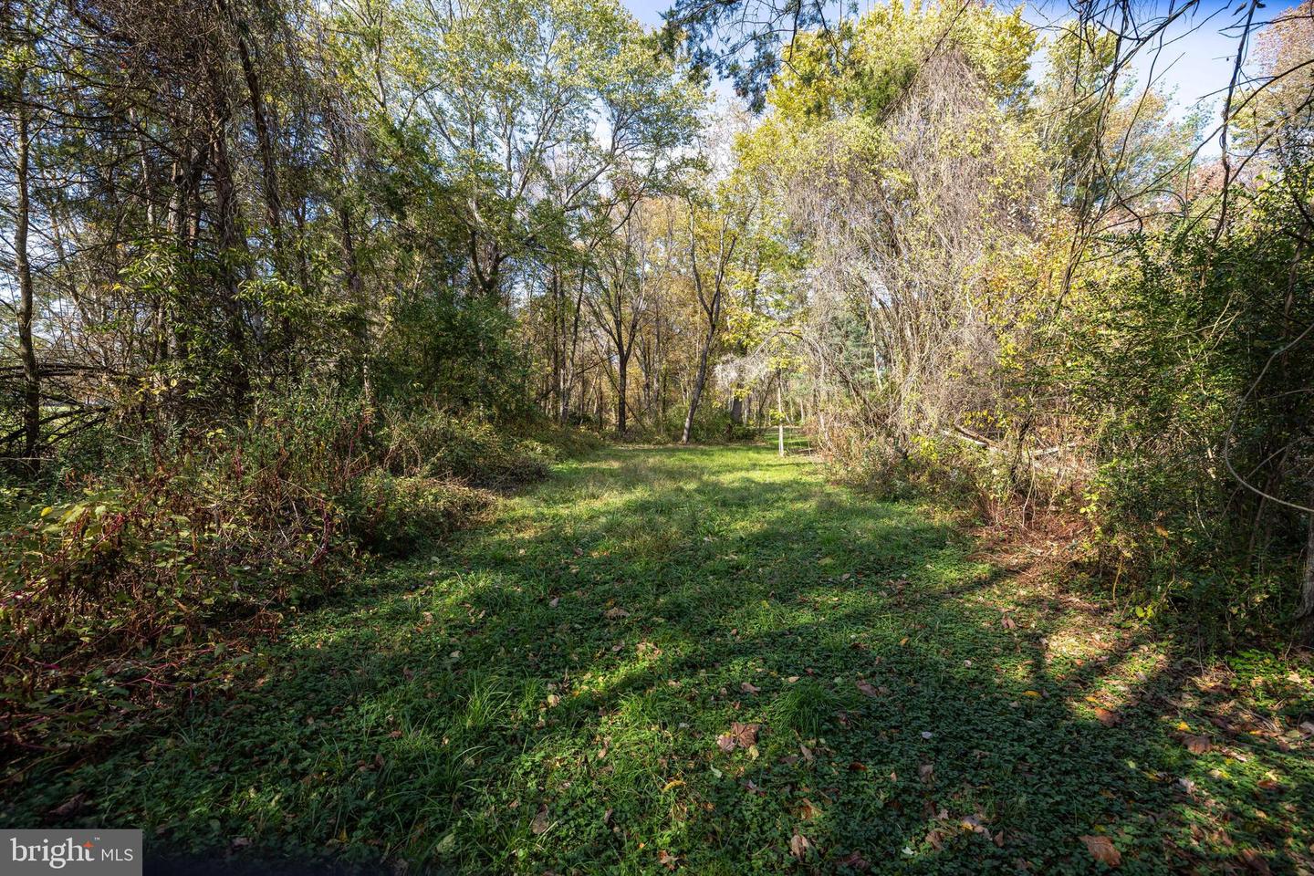 0 DRY RUN RD, LURAY, Virginia 22835, ,Land,For sale,0 DRY RUN RD,VAPA2005530 MLS # VAPA2005530