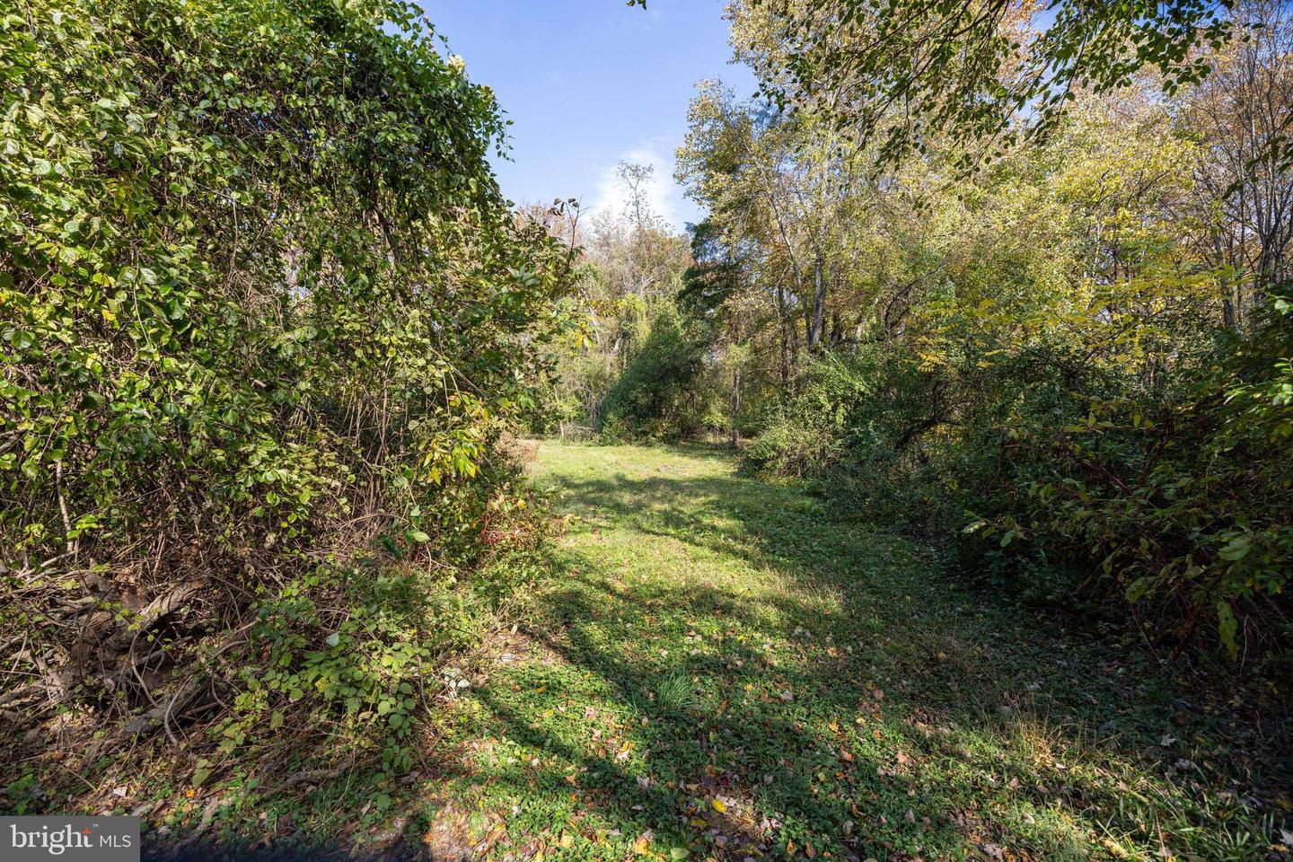 0 DRY RUN RD, LURAY, Virginia 22835, ,Land,For sale,0 DRY RUN RD,VAPA2005530 MLS # VAPA2005530