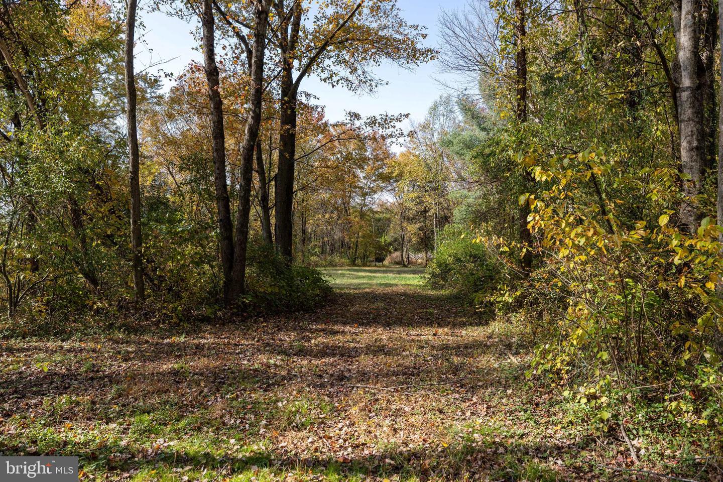 0 DRY RUN RD, LURAY, Virginia 22835, ,Land,For sale,0 DRY RUN RD,VAPA2005530 MLS # VAPA2005530