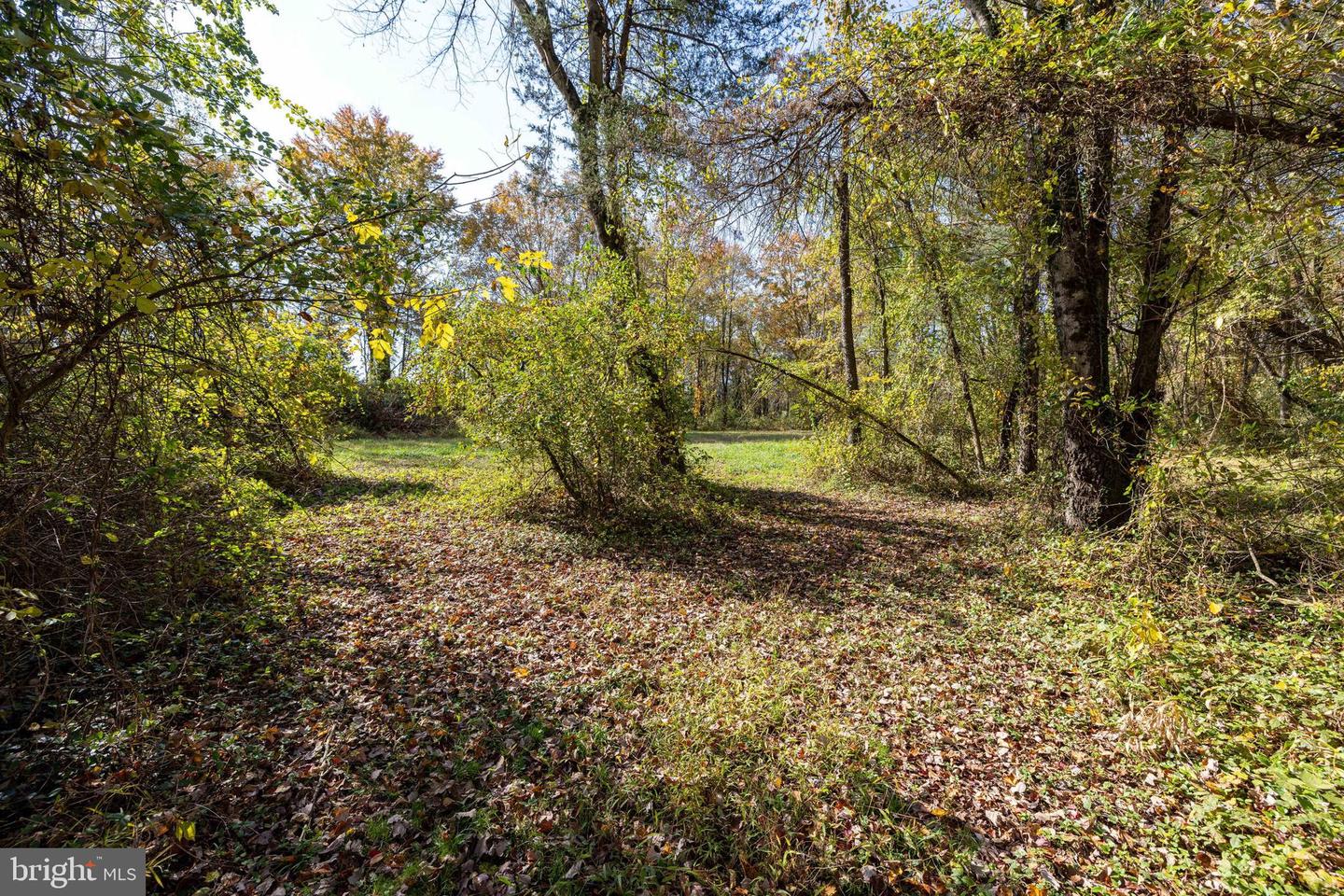 0 DRY RUN RD, LURAY, Virginia 22835, ,Land,For sale,0 DRY RUN RD,VAPA2005530 MLS # VAPA2005530