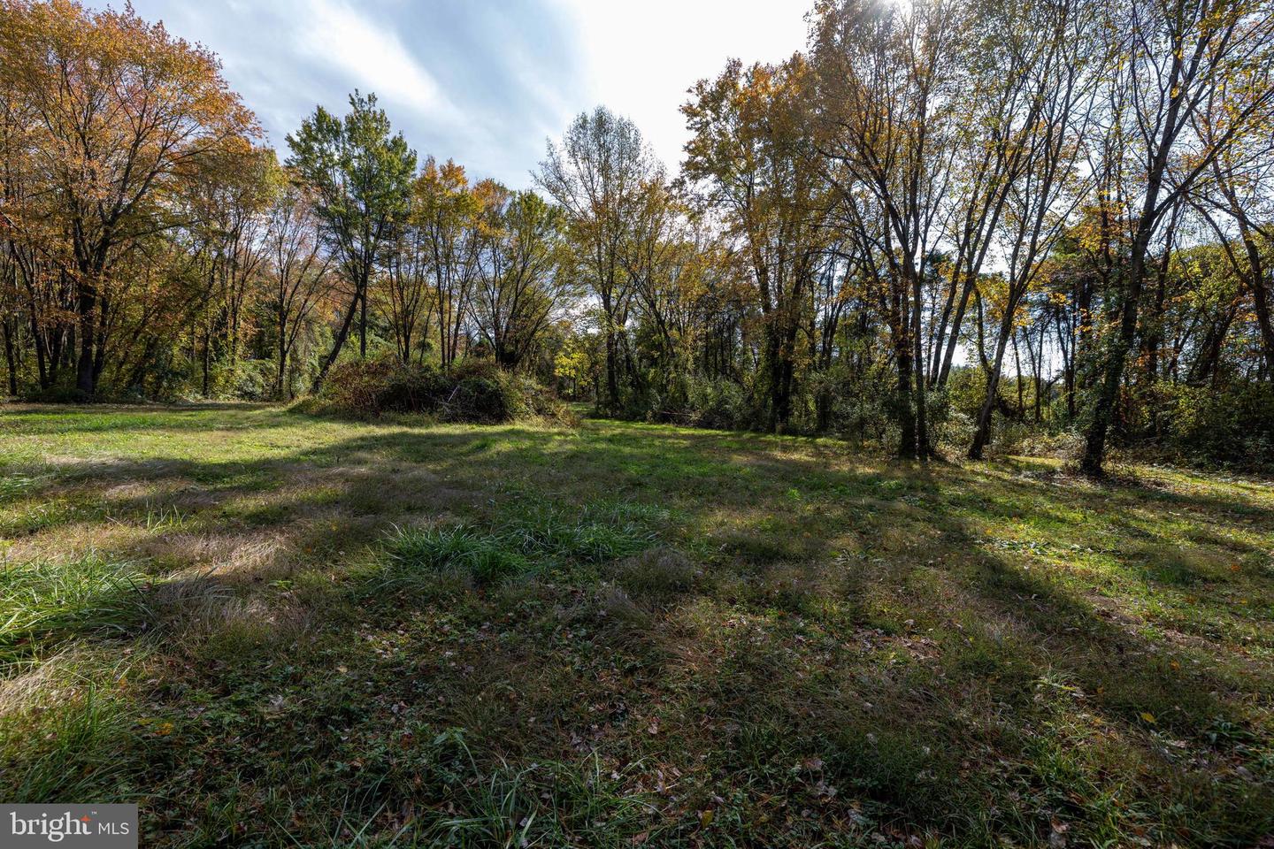 0 DRY RUN RD, LURAY, Virginia 22835, ,Land,For sale,0 DRY RUN RD,VAPA2005530 MLS # VAPA2005530