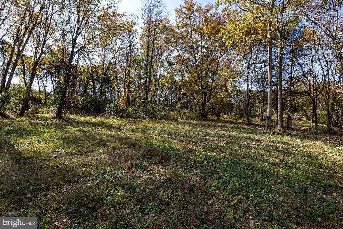 0 DRY RUN RD, LURAY, Virginia 22835, ,Land,For sale,0 DRY RUN RD,VAPA2005530 MLS # VAPA2005530