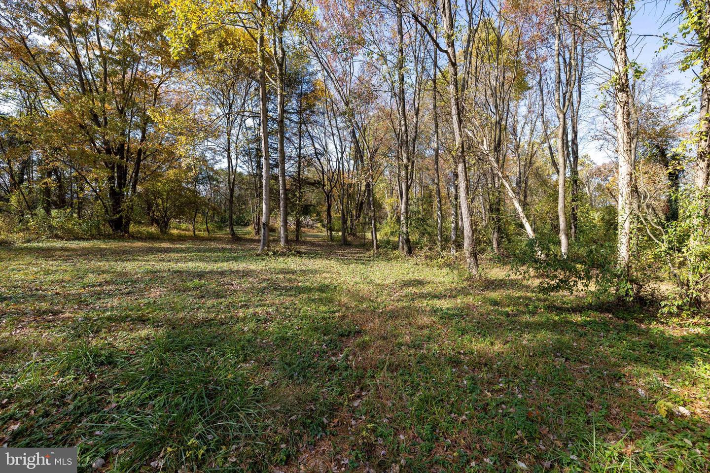 0 DRY RUN RD, LURAY, Virginia 22835, ,Land,For sale,0 DRY RUN RD,VAPA2005530 MLS # VAPA2005530