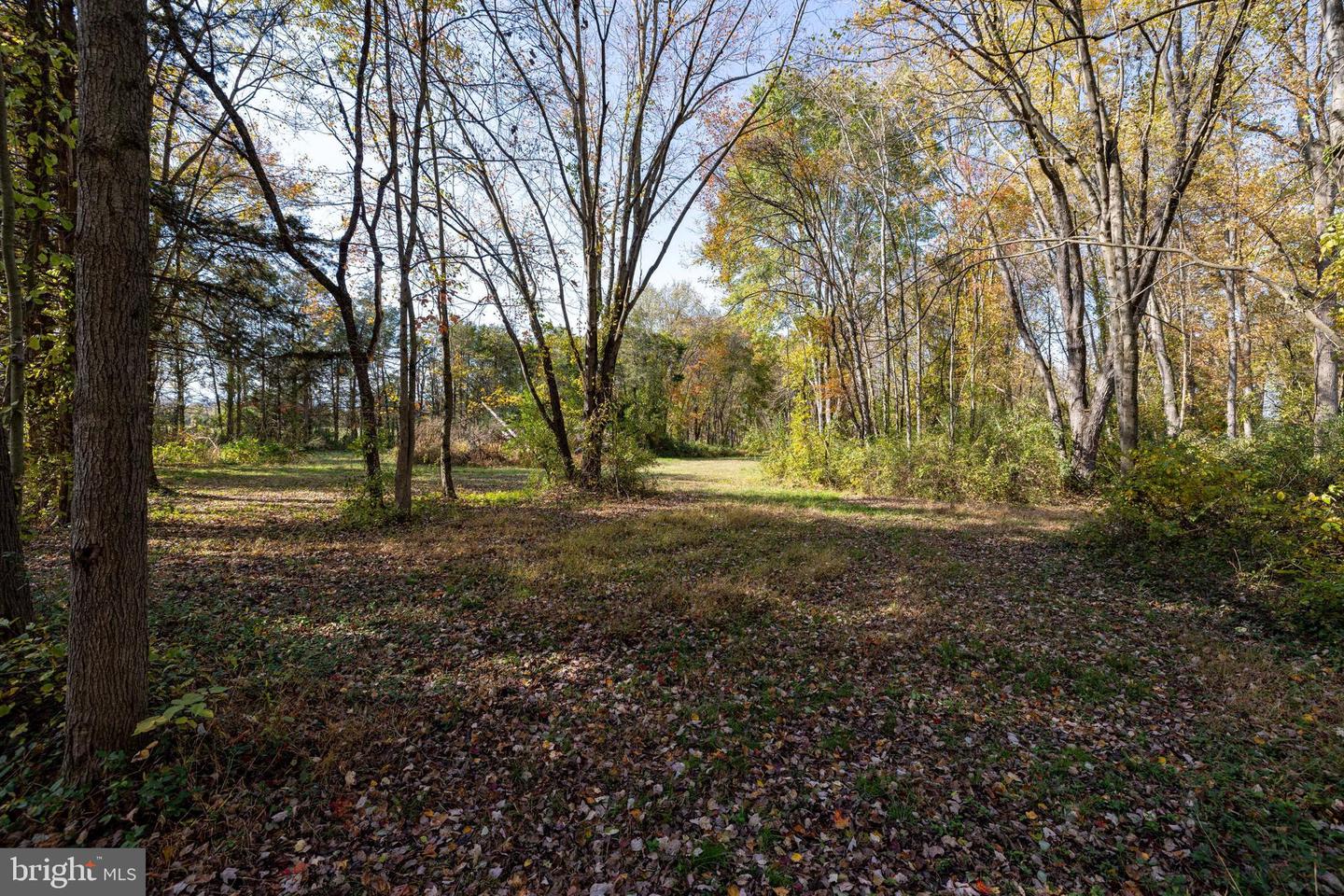 0 DRY RUN RD, LURAY, Virginia 22835, ,Land,For sale,0 DRY RUN RD,VAPA2005530 MLS # VAPA2005530