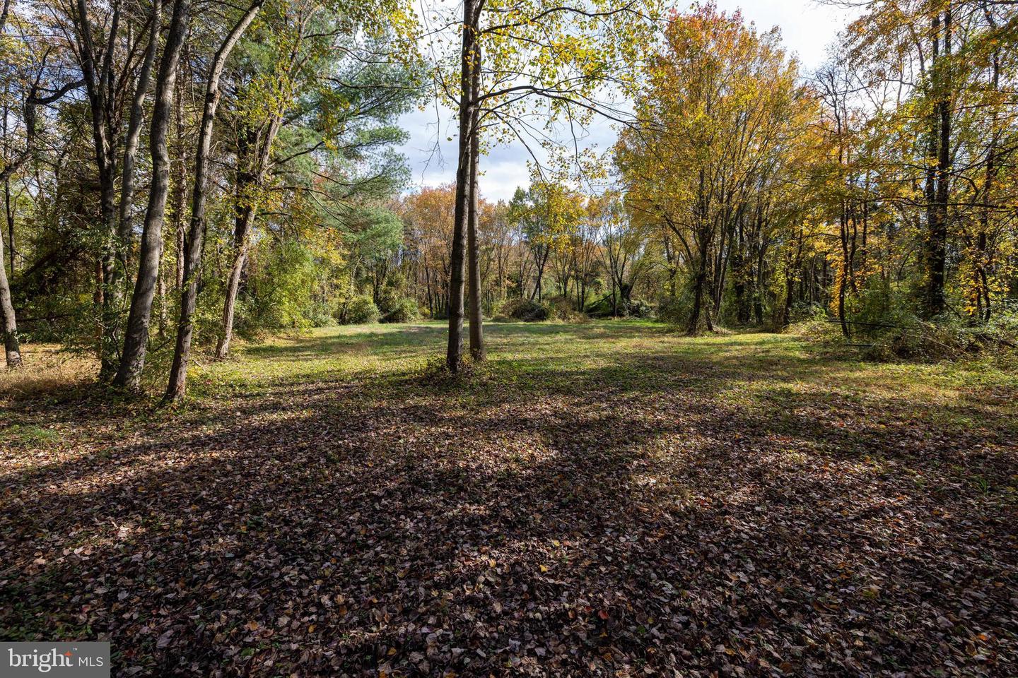 0 DRY RUN RD, LURAY, Virginia 22835, ,Land,For sale,0 DRY RUN RD,VAPA2005530 MLS # VAPA2005530