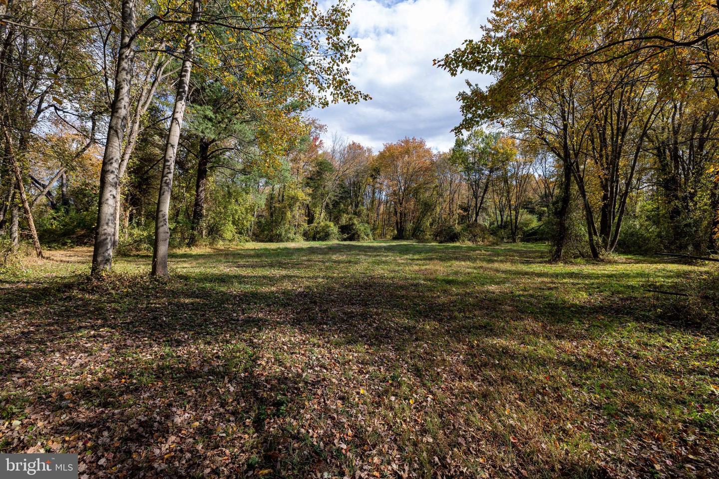 0 DRY RUN RD, LURAY, Virginia 22835, ,Land,For sale,0 DRY RUN RD,VAPA2005530 MLS # VAPA2005530