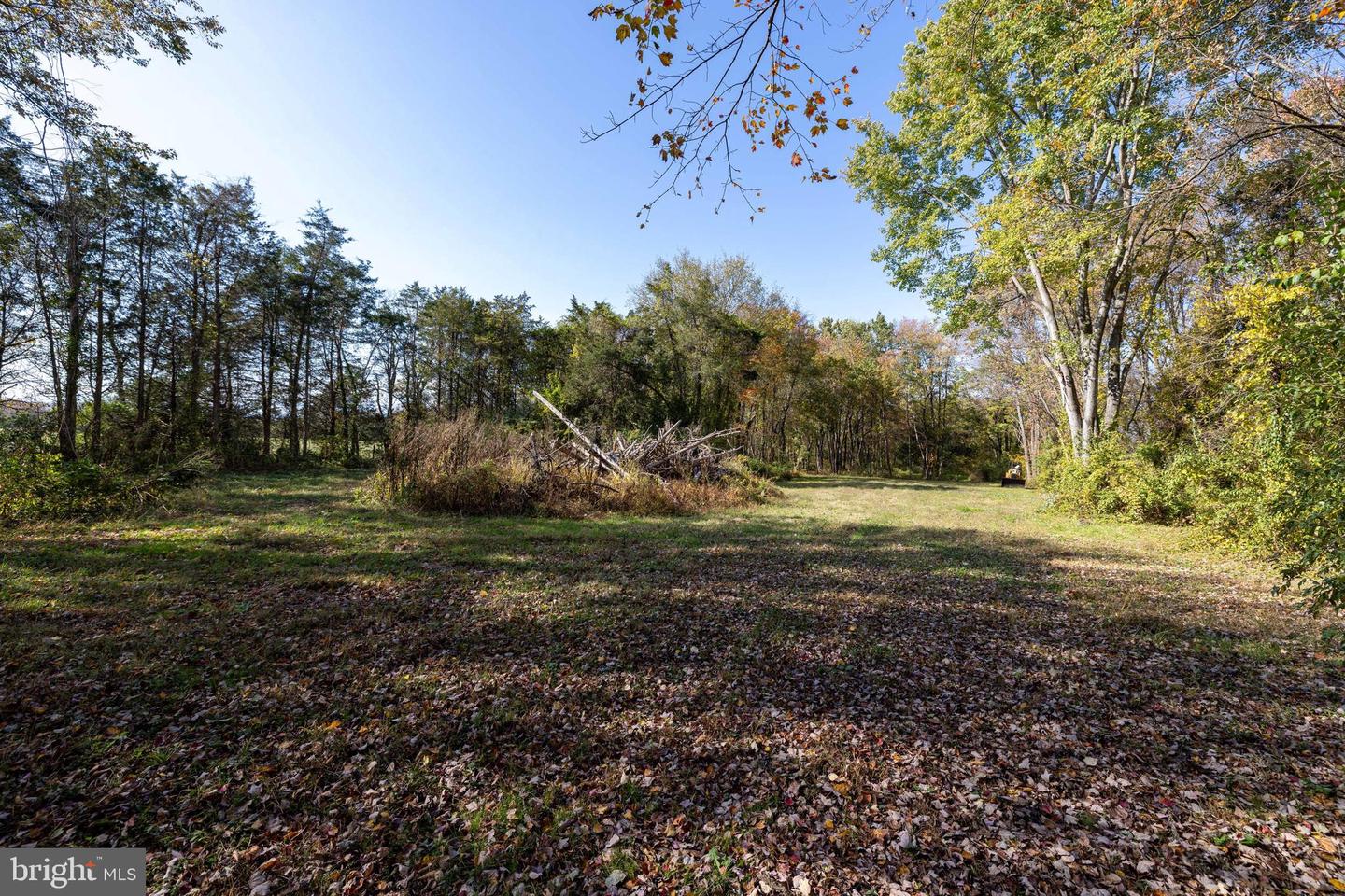 0 DRY RUN RD, LURAY, Virginia 22835, ,Land,For sale,0 DRY RUN RD,VAPA2005530 MLS # VAPA2005530