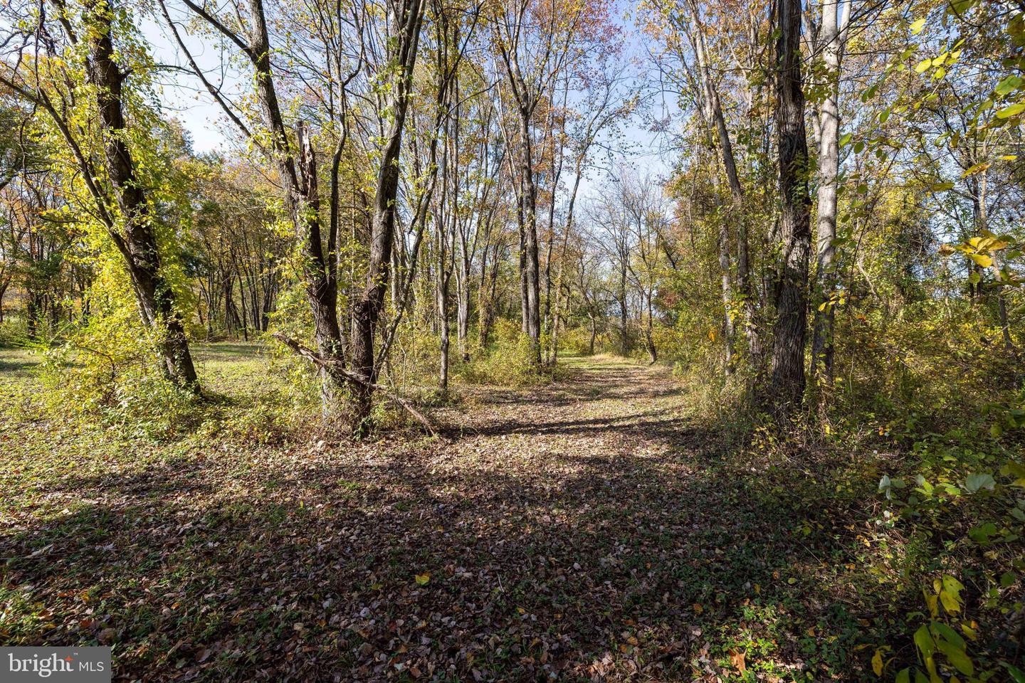 0 DRY RUN RD, LURAY, Virginia 22835, ,Land,For sale,0 DRY RUN RD,VAPA2005530 MLS # VAPA2005530