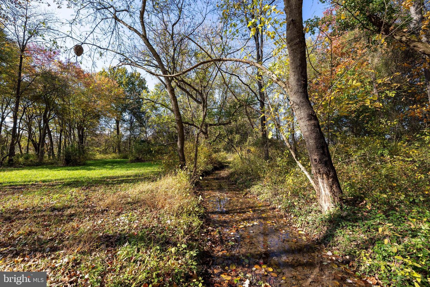 0 DRY RUN RD, LURAY, Virginia 22835, ,Land,For sale,0 DRY RUN RD,VAPA2005530 MLS # VAPA2005530