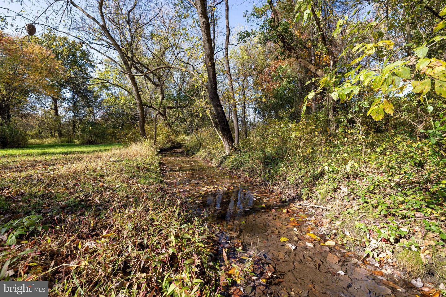 0 DRY RUN RD, LURAY, Virginia 22835, ,Land,For sale,0 DRY RUN RD,VAPA2005530 MLS # VAPA2005530