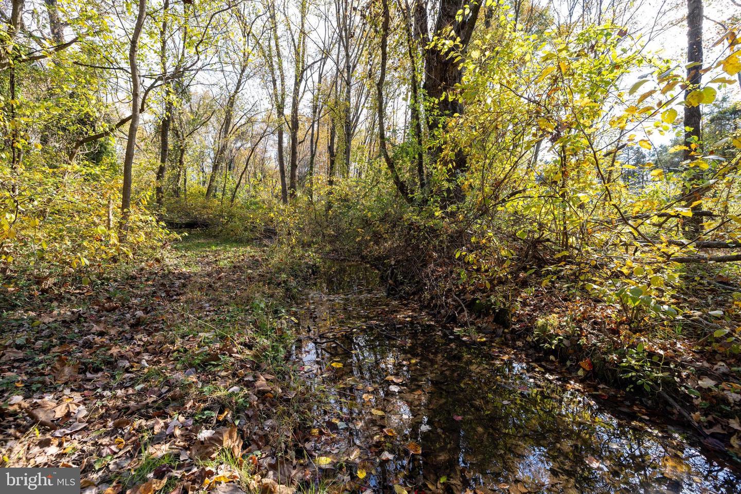 0 DRY RUN RD, LURAY, Virginia 22835, ,Land,For sale,0 DRY RUN RD,VAPA2005530 MLS # VAPA2005530