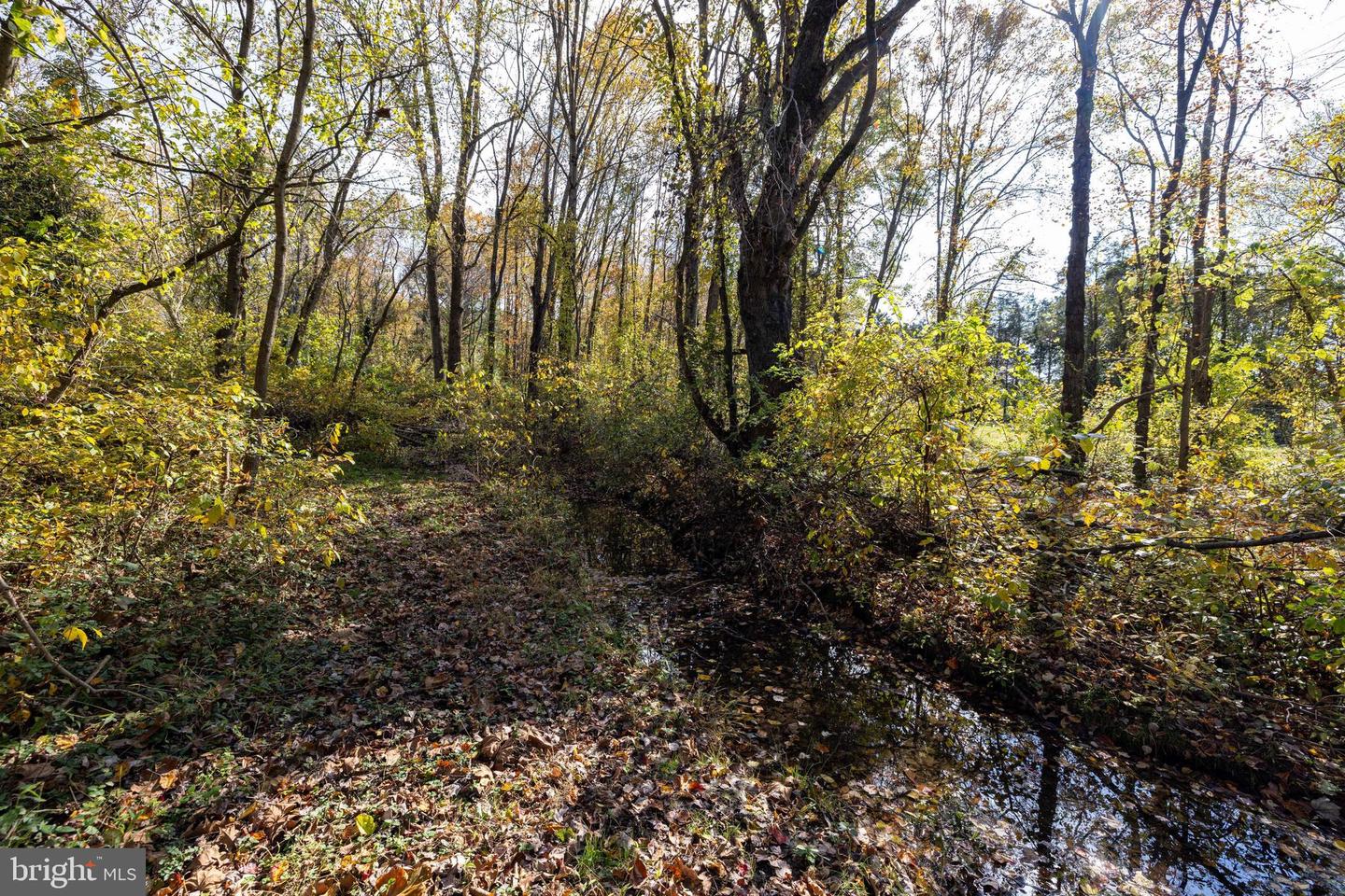 0 DRY RUN RD, LURAY, Virginia 22835, ,Land,For sale,0 DRY RUN RD,VAPA2005530 MLS # VAPA2005530