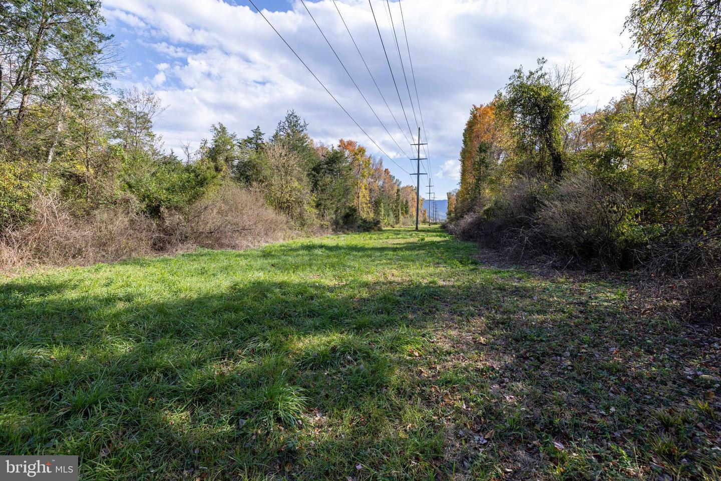 0 DRY RUN RD, LURAY, Virginia 22835, ,Land,For sale,0 DRY RUN RD,VAPA2005530 MLS # VAPA2005530