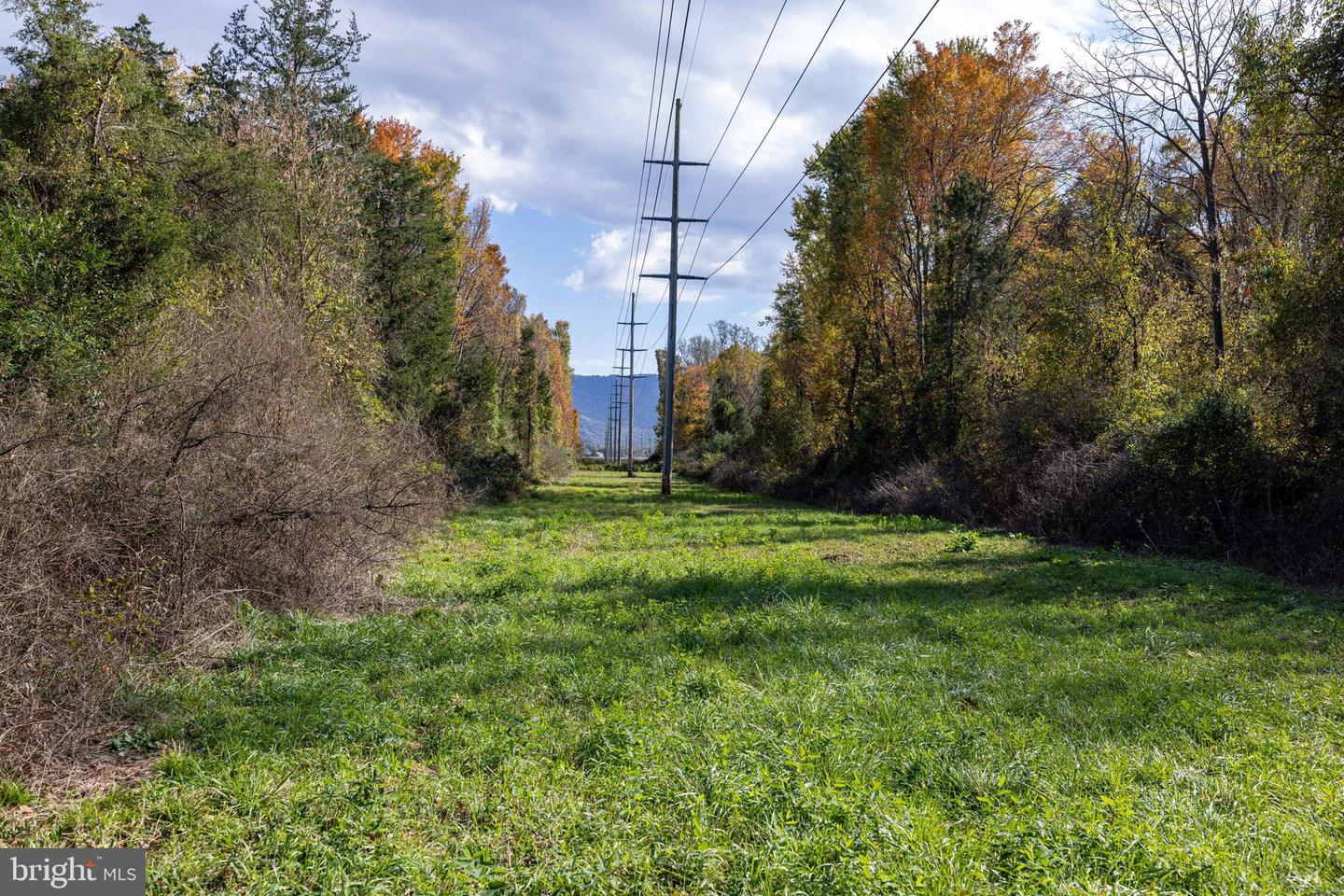 0 DRY RUN RD, LURAY, Virginia 22835, ,Land,For sale,0 DRY RUN RD,VAPA2005530 MLS # VAPA2005530