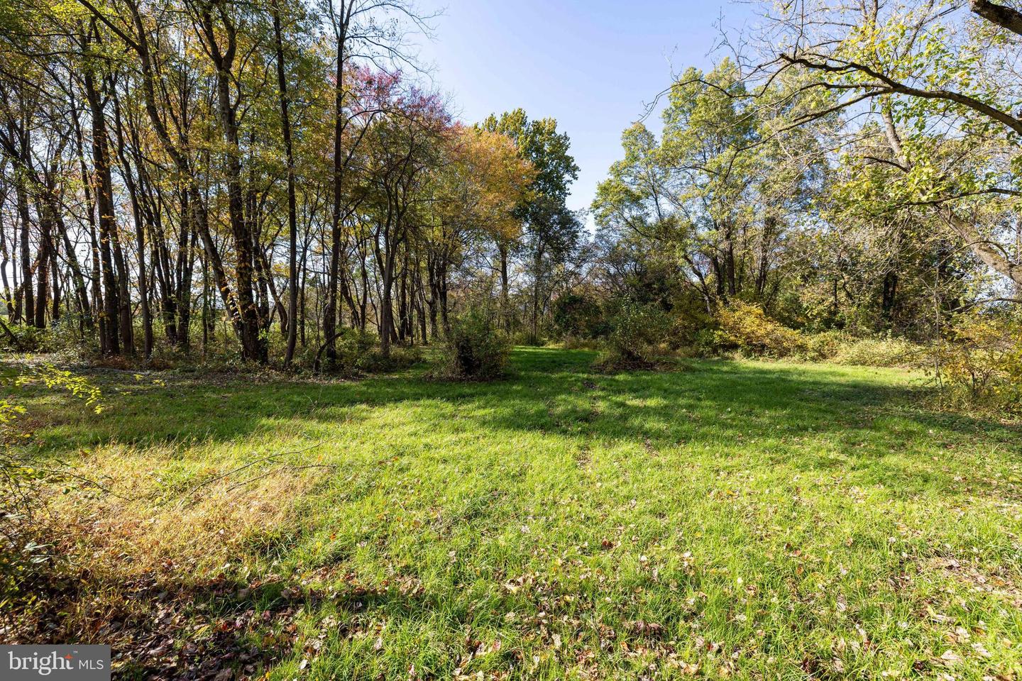 0 DRY RUN RD, LURAY, Virginia 22835, ,Land,For sale,0 DRY RUN RD,VAPA2005530 MLS # VAPA2005530