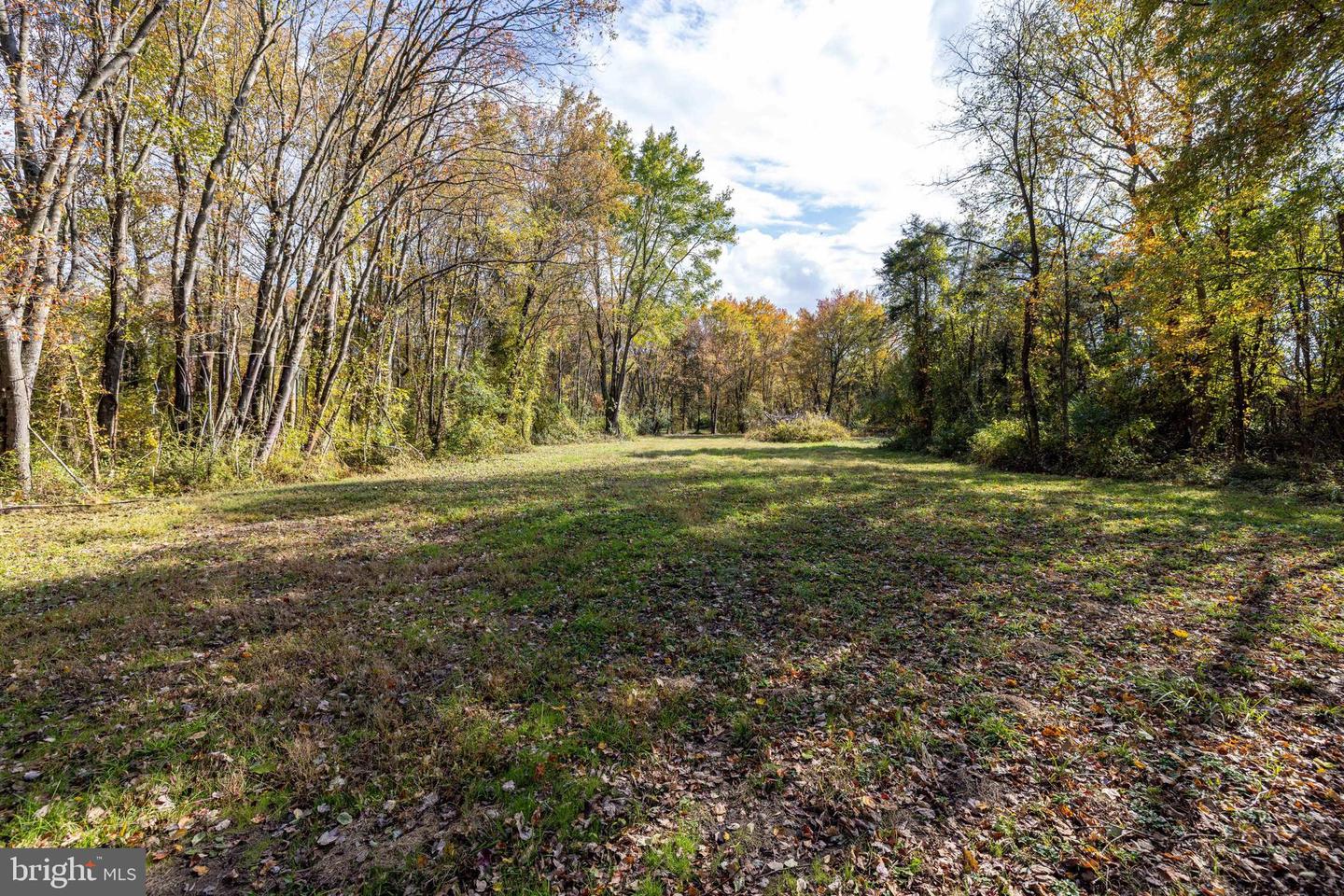 0 DRY RUN RD, LURAY, Virginia 22835, ,Land,For sale,0 DRY RUN RD,VAPA2005530 MLS # VAPA2005530