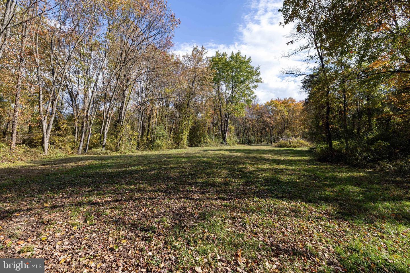 0 DRY RUN RD, LURAY, Virginia 22835, ,Land,For sale,0 DRY RUN RD,VAPA2005530 MLS # VAPA2005530