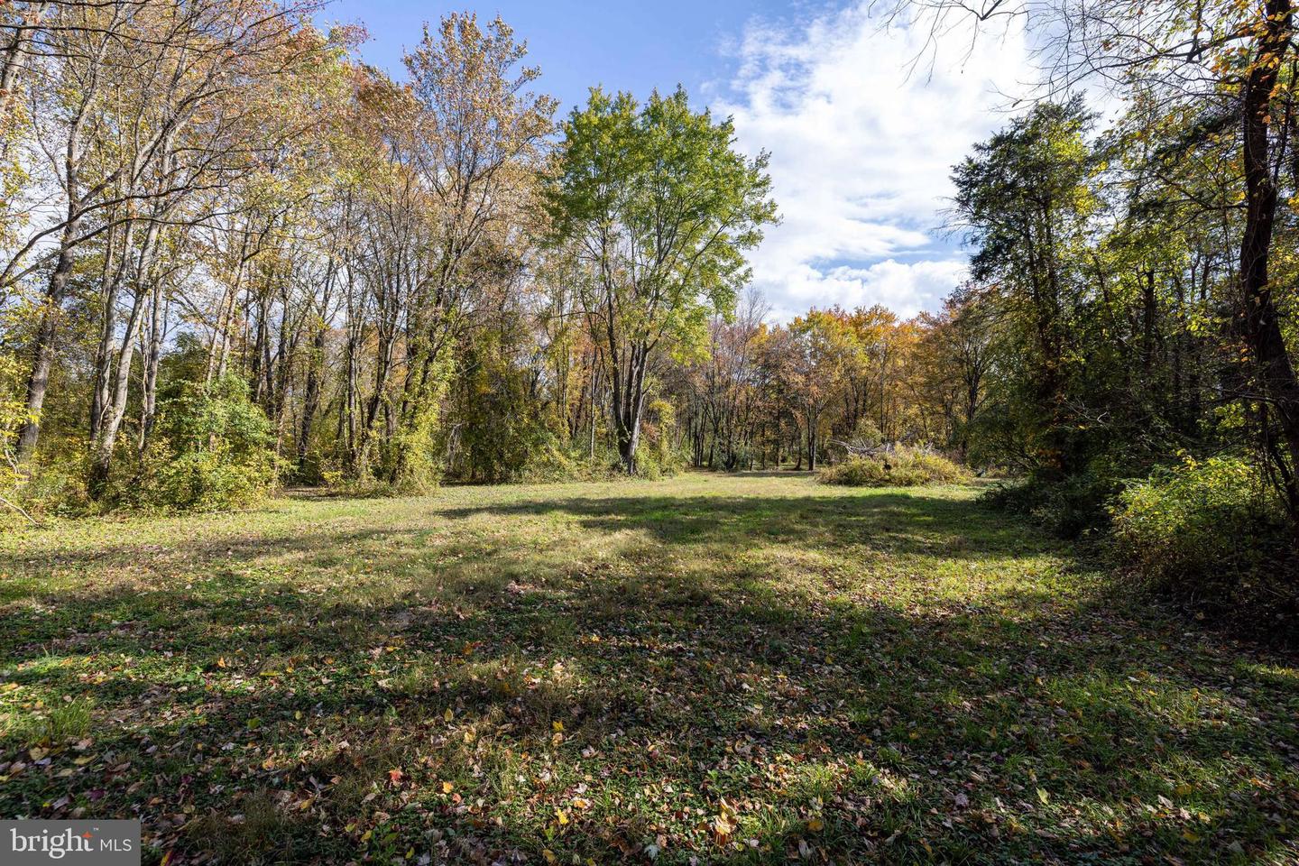 0 DRY RUN RD, LURAY, Virginia 22835, ,Land,For sale,0 DRY RUN RD,VAPA2005530 MLS # VAPA2005530