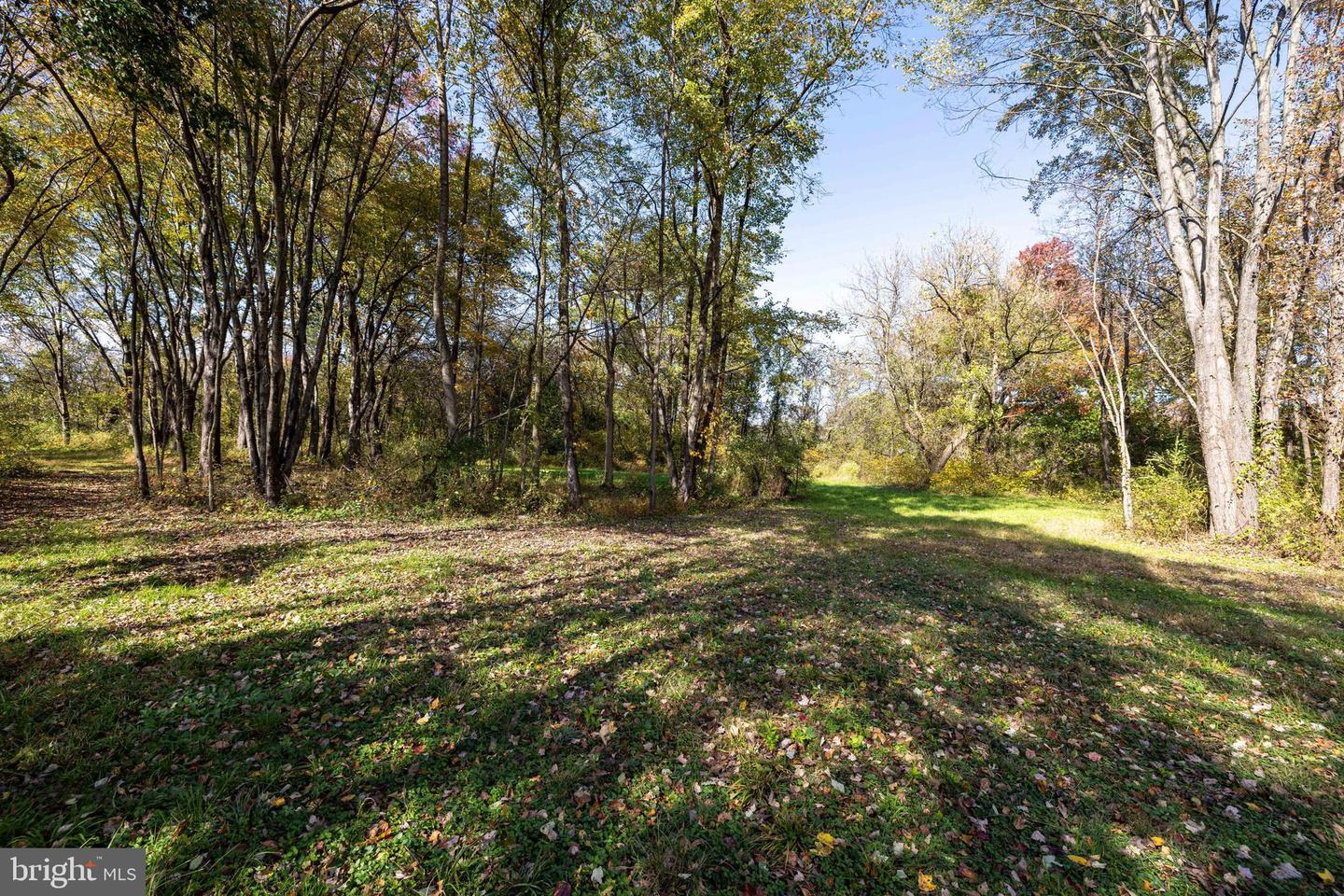 0 DRY RUN RD, LURAY, Virginia 22835, ,Land,For sale,0 DRY RUN RD,VAPA2005530 MLS # VAPA2005530