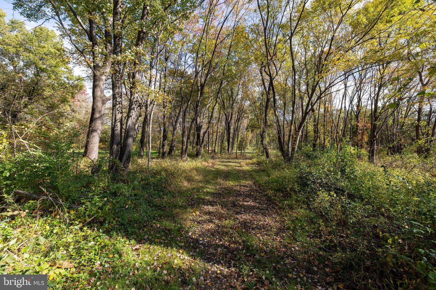 0 DRY RUN RD, LURAY, Virginia 22835, ,Land,For sale,0 DRY RUN RD,VAPA2005530 MLS # VAPA2005530