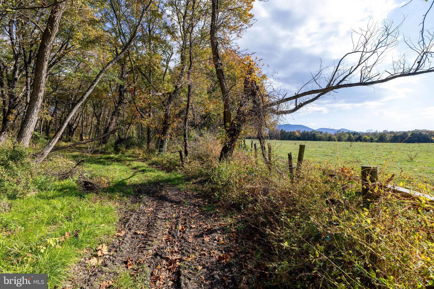 0 DRY RUN RD, LURAY, Virginia 22835, ,Land,For sale,0 DRY RUN RD,VAPA2005530 MLS # VAPA2005530