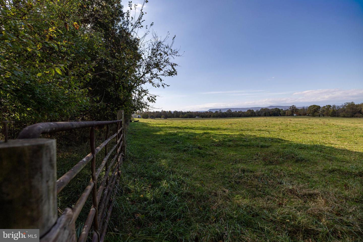 0 DRY RUN RD, LURAY, Virginia 22835, ,Land,For sale,0 DRY RUN RD,VAPA2005530 MLS # VAPA2005530