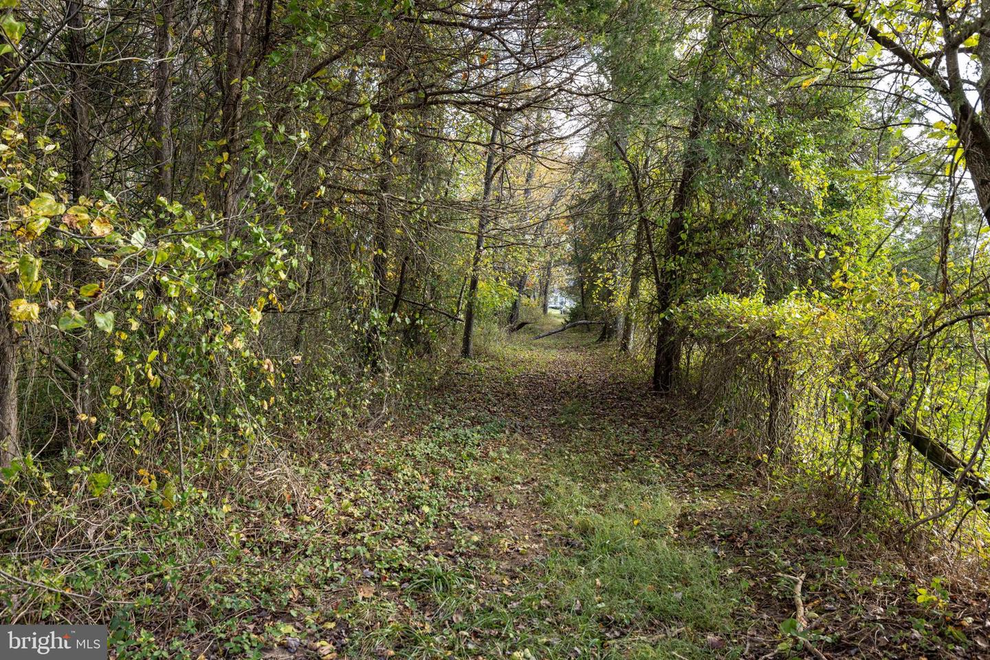 0 DRY RUN RD, LURAY, Virginia 22835, ,Land,For sale,0 DRY RUN RD,VAPA2005530 MLS # VAPA2005530