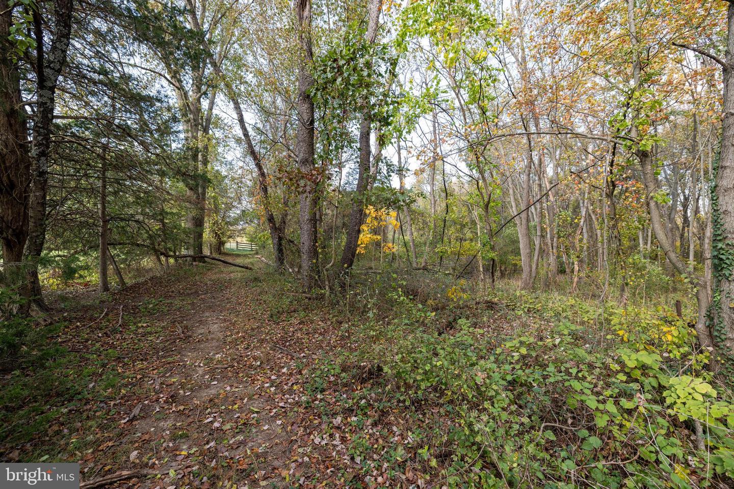 0 DRY RUN RD, LURAY, Virginia 22835, ,Land,For sale,0 DRY RUN RD,VAPA2005530 MLS # VAPA2005530