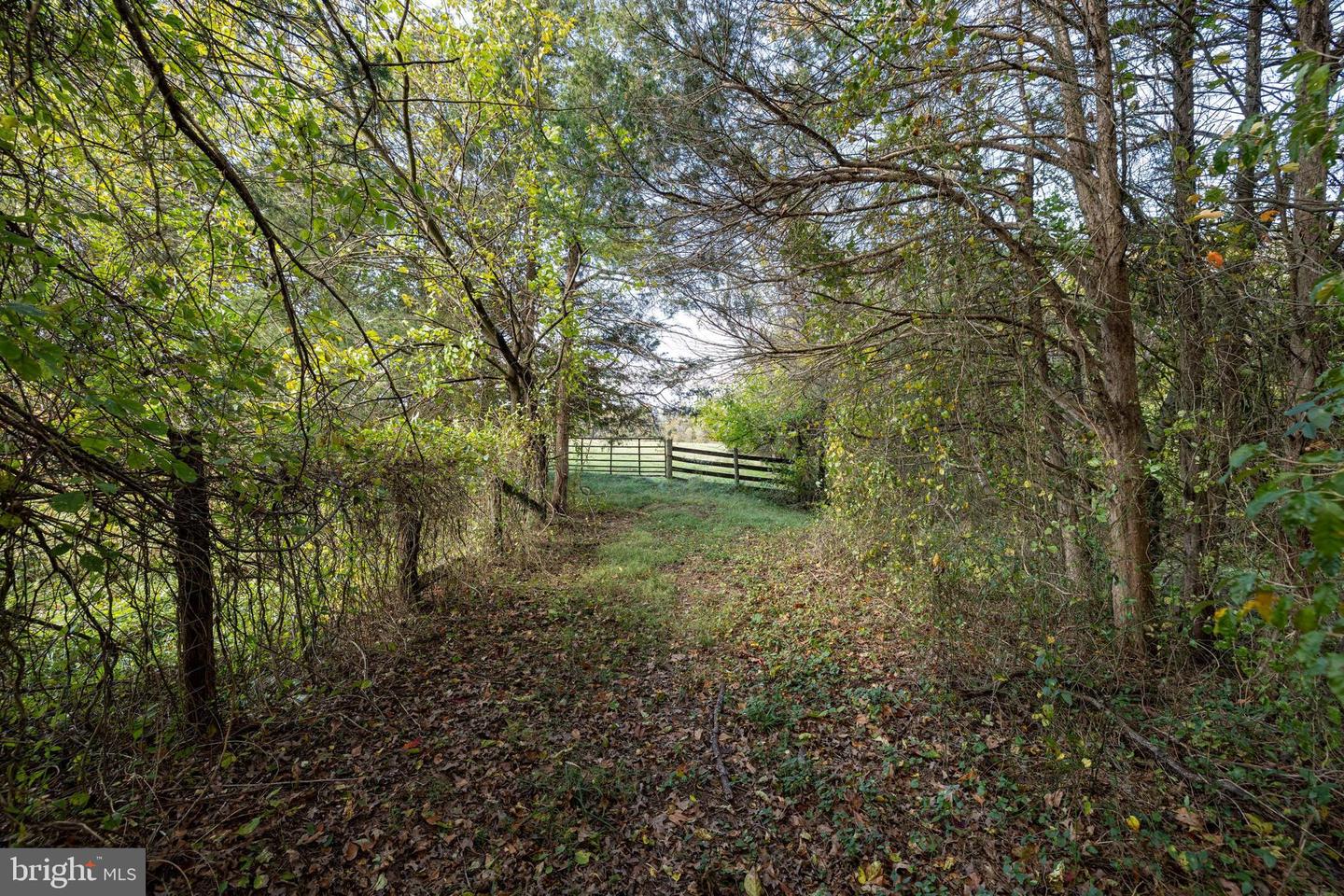 0 DRY RUN RD, LURAY, Virginia 22835, ,Land,For sale,0 DRY RUN RD,VAPA2005530 MLS # VAPA2005530