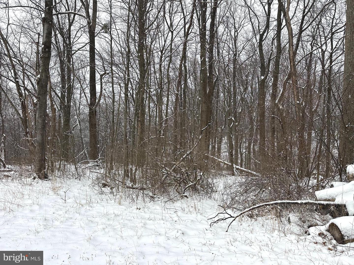 LOT 4 DUWAMISH TRL, WINCHESTER, Virginia 22602, ,Land,For sale,LOT 4 DUWAMISH TRL,VAFV2039838 MLS # VAFV2039838