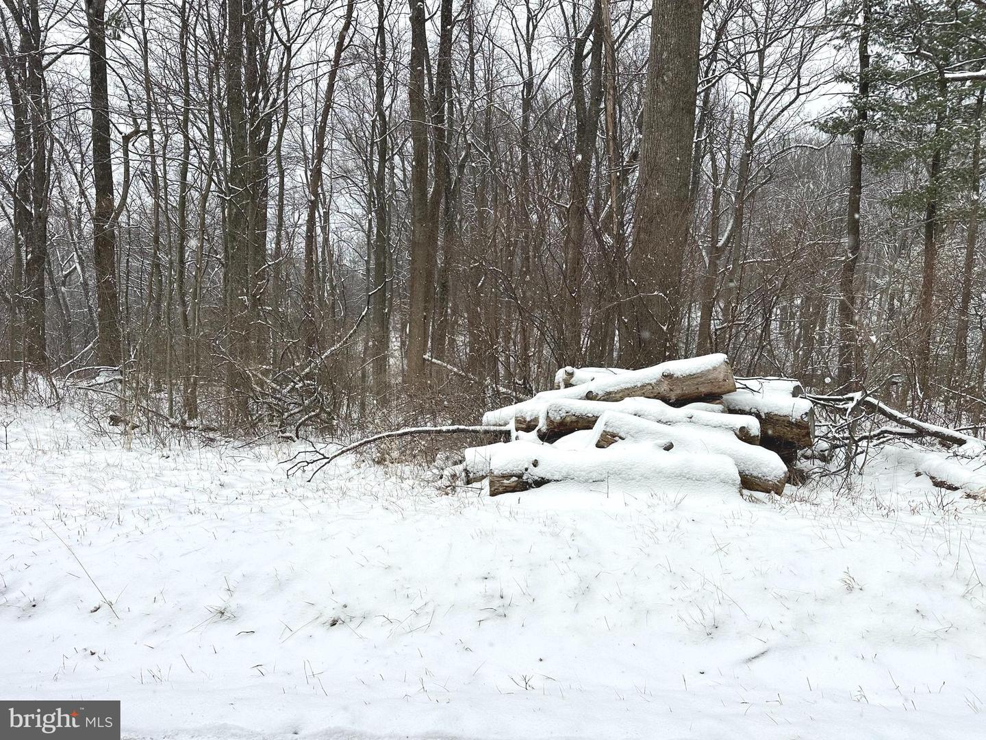 LOT 4 DUWAMISH TRL, WINCHESTER, Virginia 22602, ,Land,For sale,LOT 4 DUWAMISH TRL,VAFV2039838 MLS # VAFV2039838