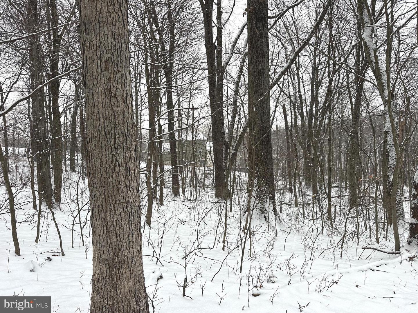 LOT 68 KILLBUCK TRL, WINCHESTER, Virginia 22602, ,Land,For sale,LOT 68 KILLBUCK TRL,VAFV2039848 MLS # VAFV2039848 LOT 68 KILLBUCK TRL, WINCHESTER, Virginia 22602, ,Land,For sale,LOT 68 KILLBUCK TRL,VAFV2039848 MLS # VAFV2039848